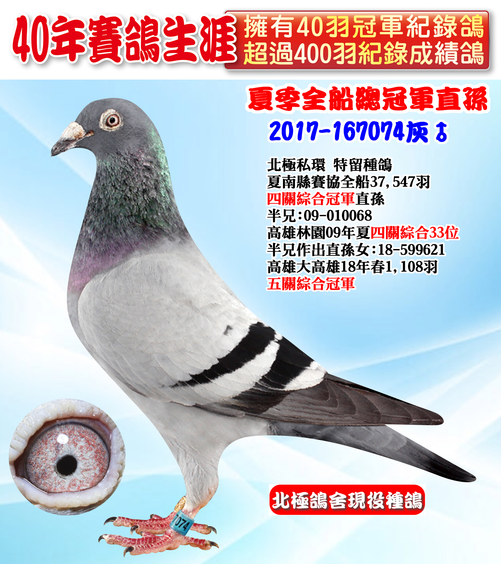 2017-167074.jpg