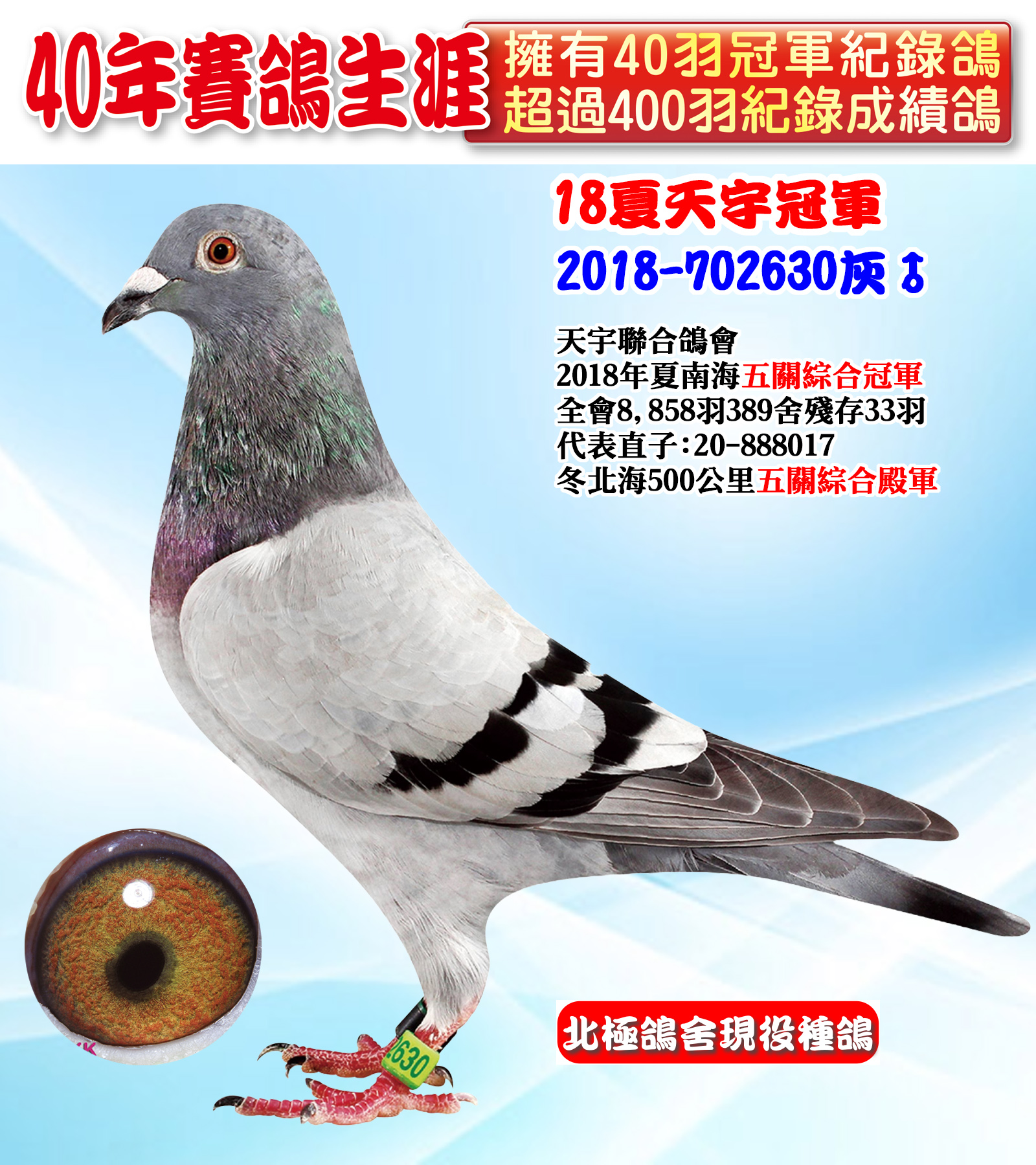 2018-702630.jpg