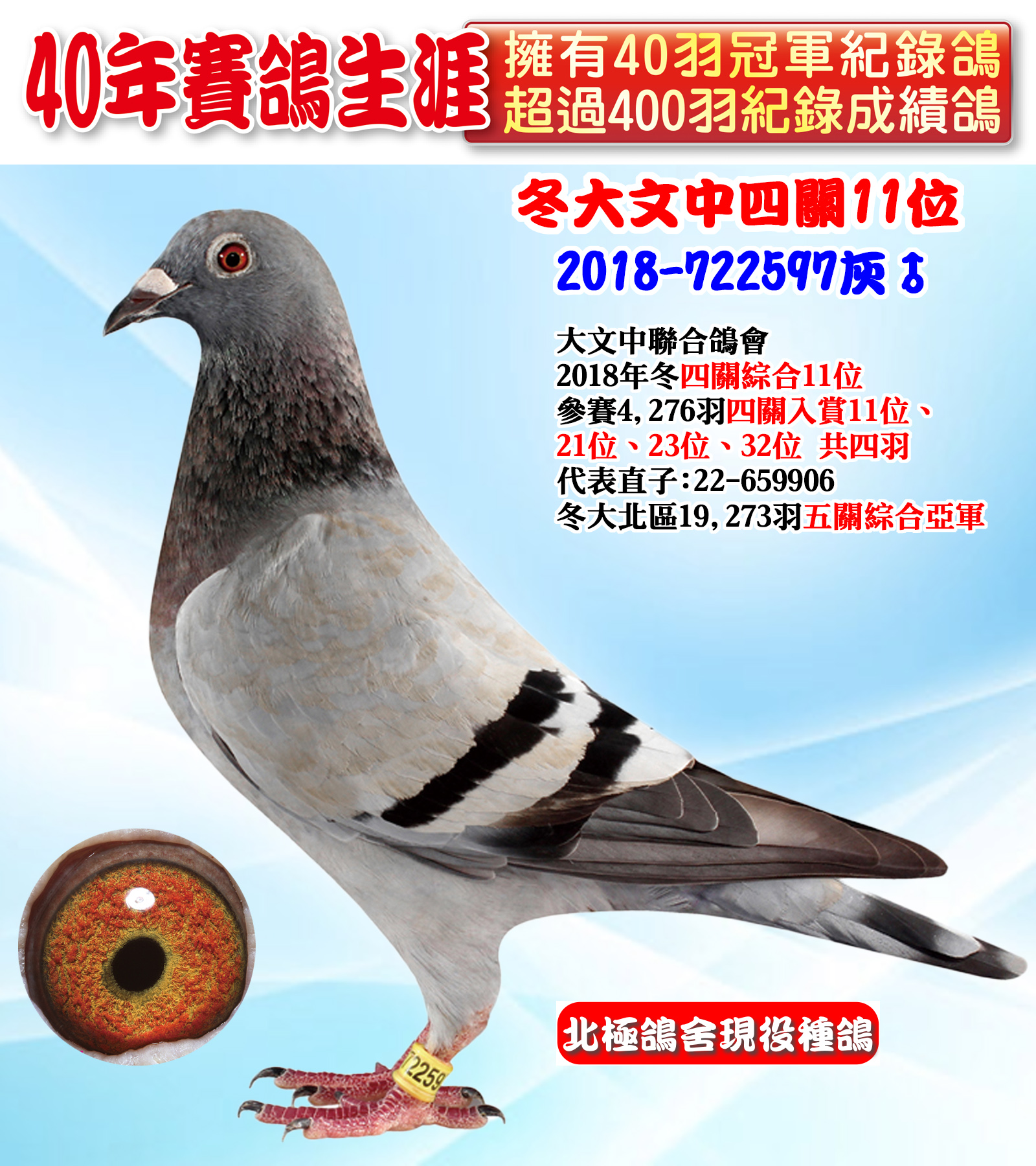 2018-722597.jpg