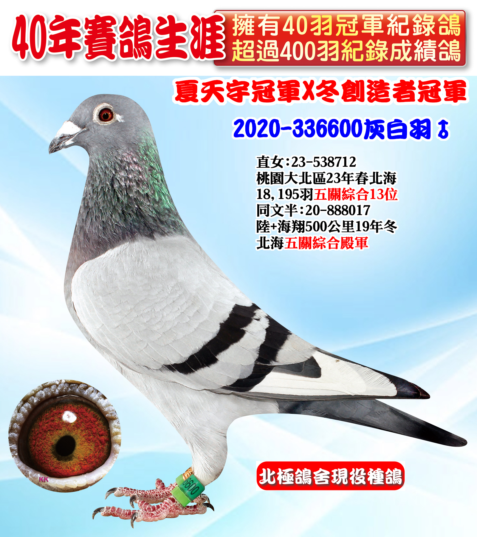 2020-336600.jpg