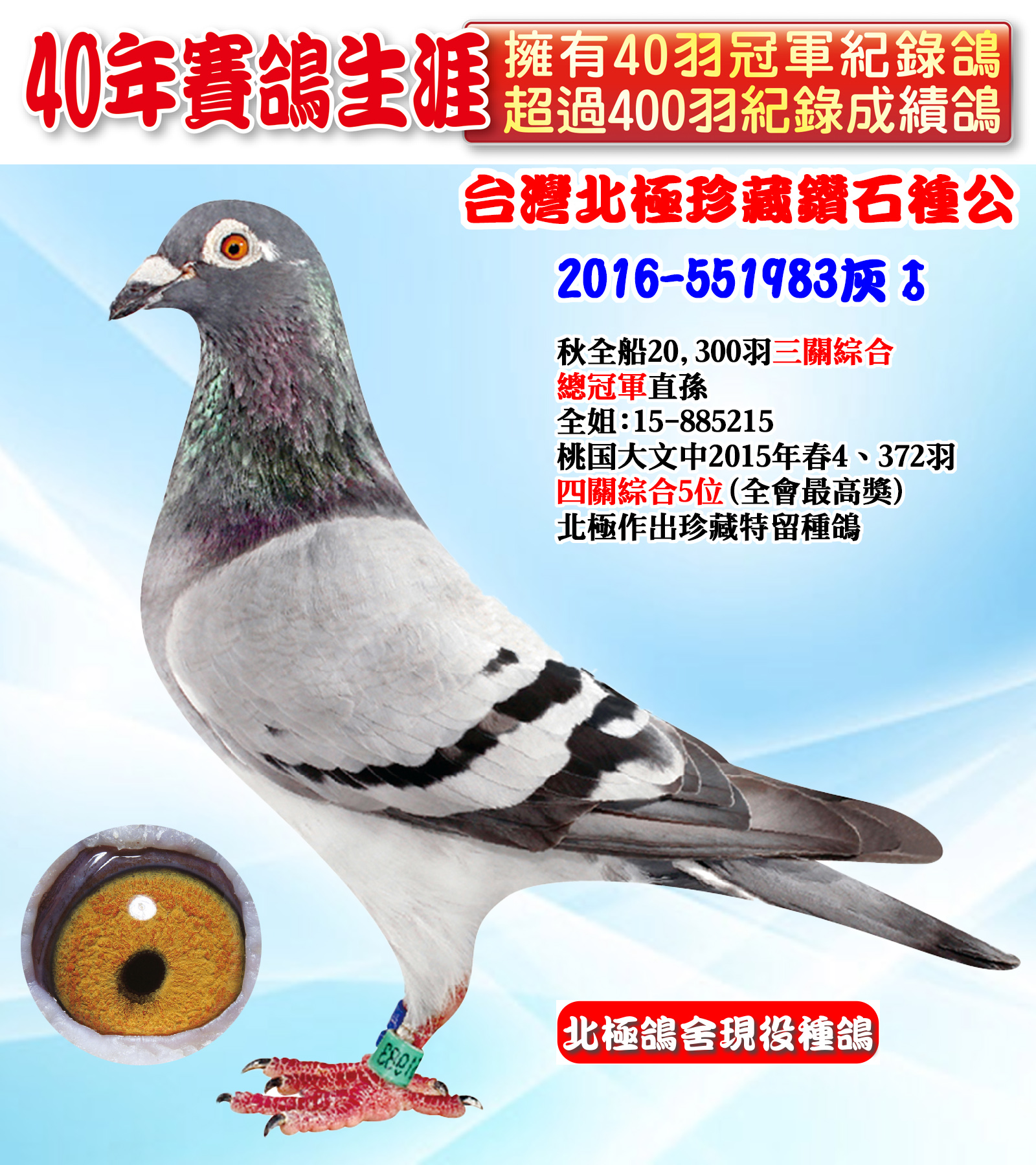 2016-551983.jpg