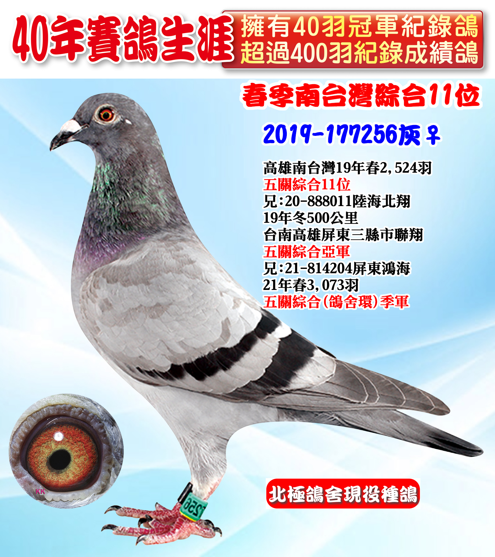 2019-177256tl ru6.jpg