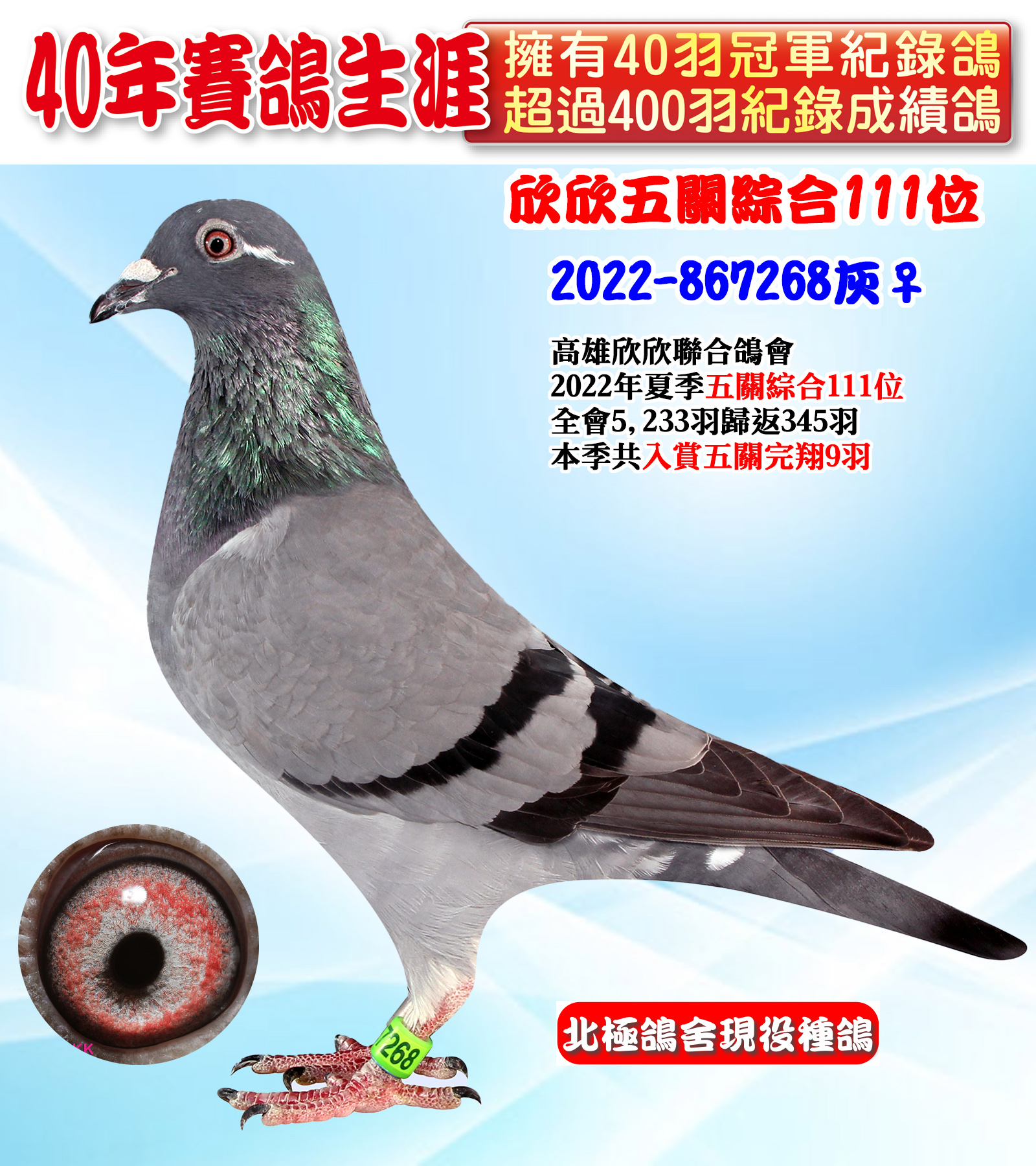 2022-867268超級.jpg
