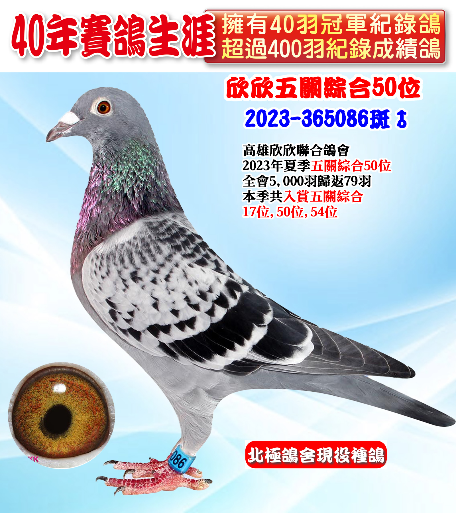 2023-365086超級.jpg