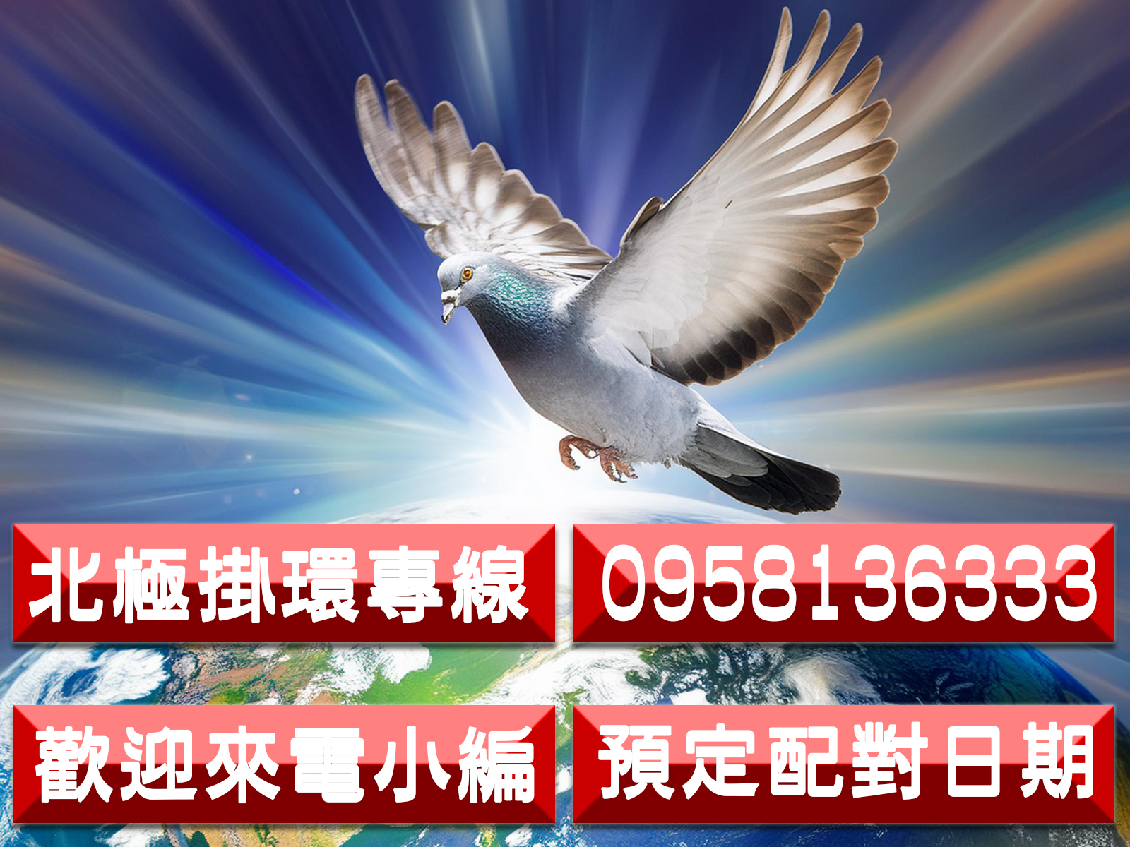 掛環底 拷貝.jpg