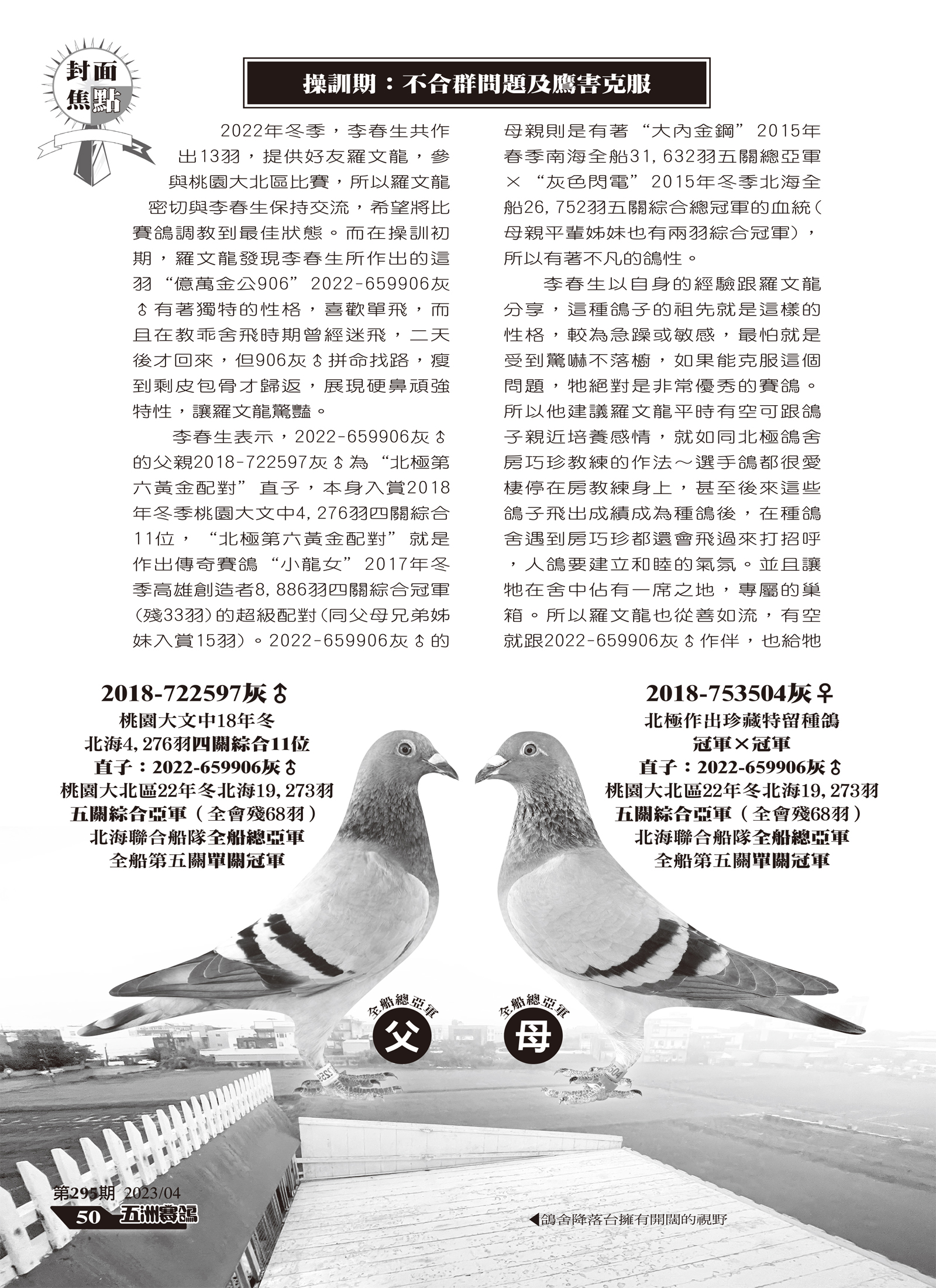 295-7-名家.jpg