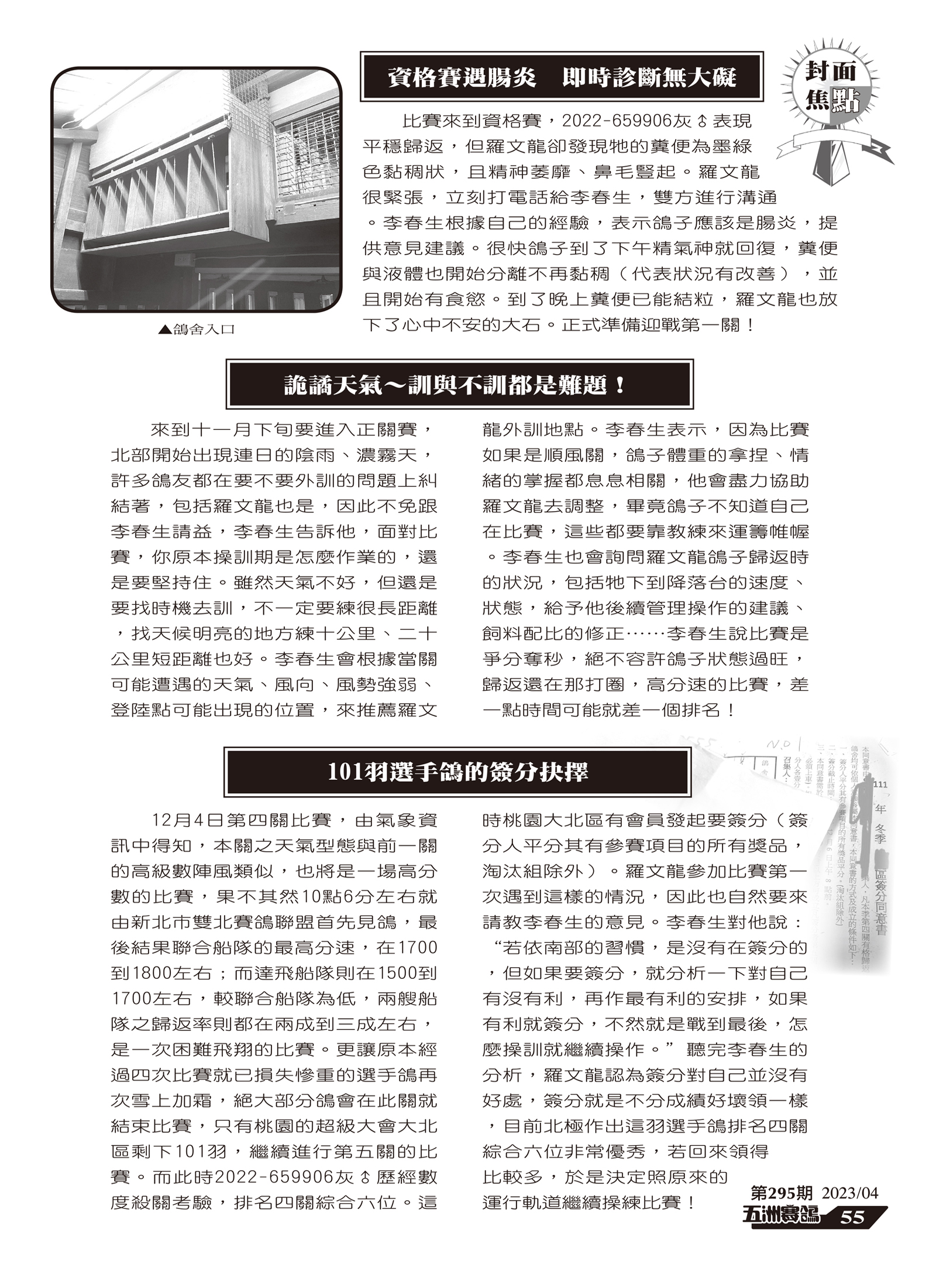 295-11-名家.jpg