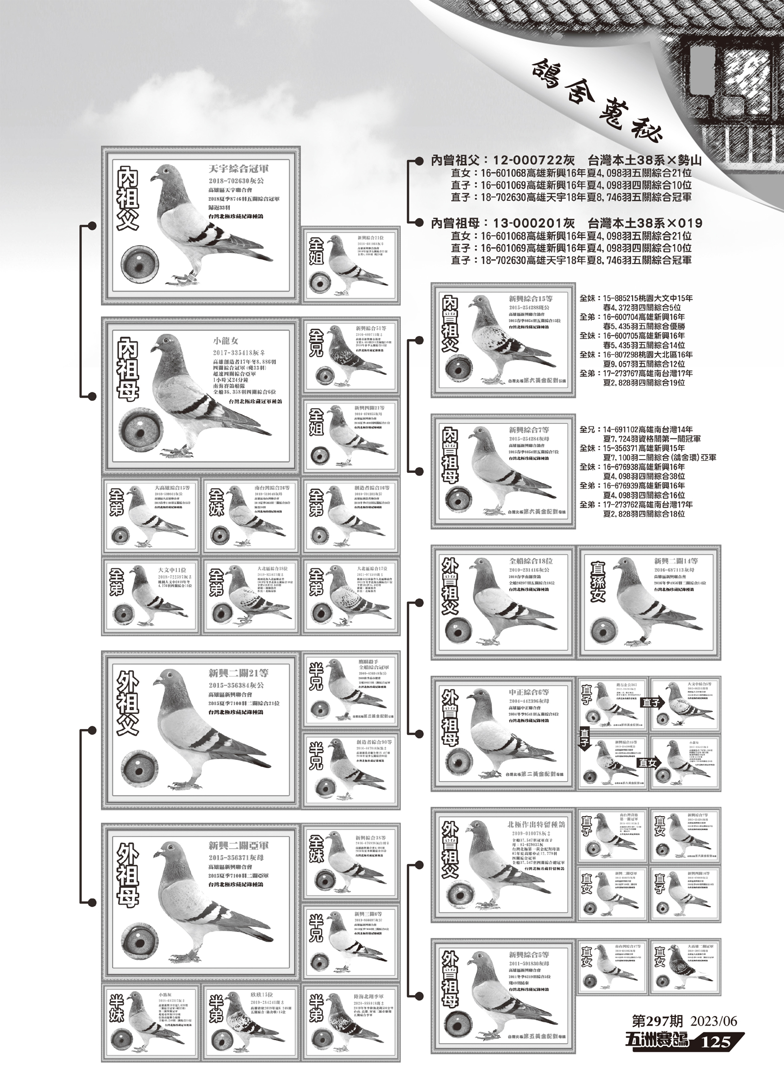 297-10.jpg