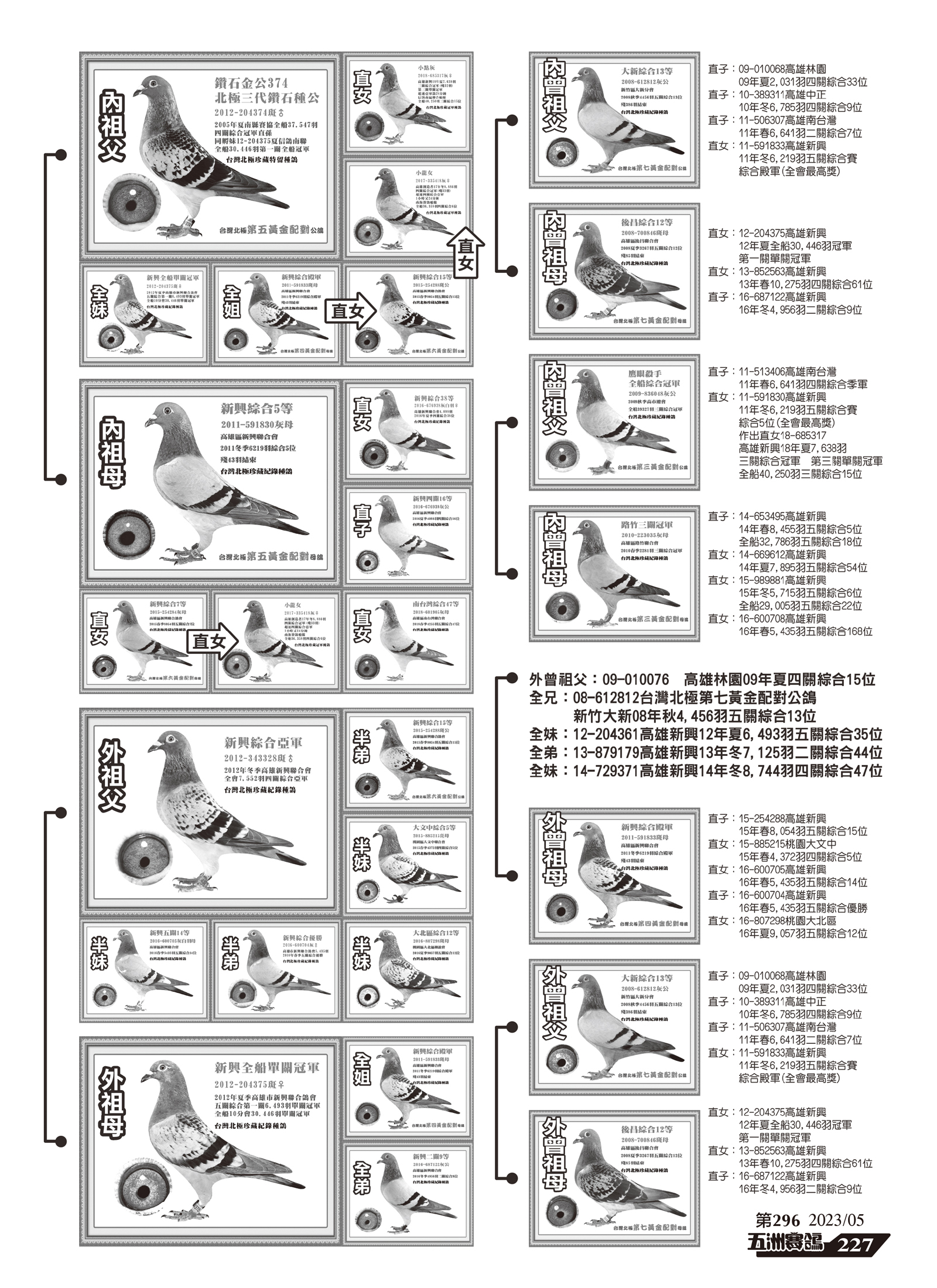 296-10.jpg