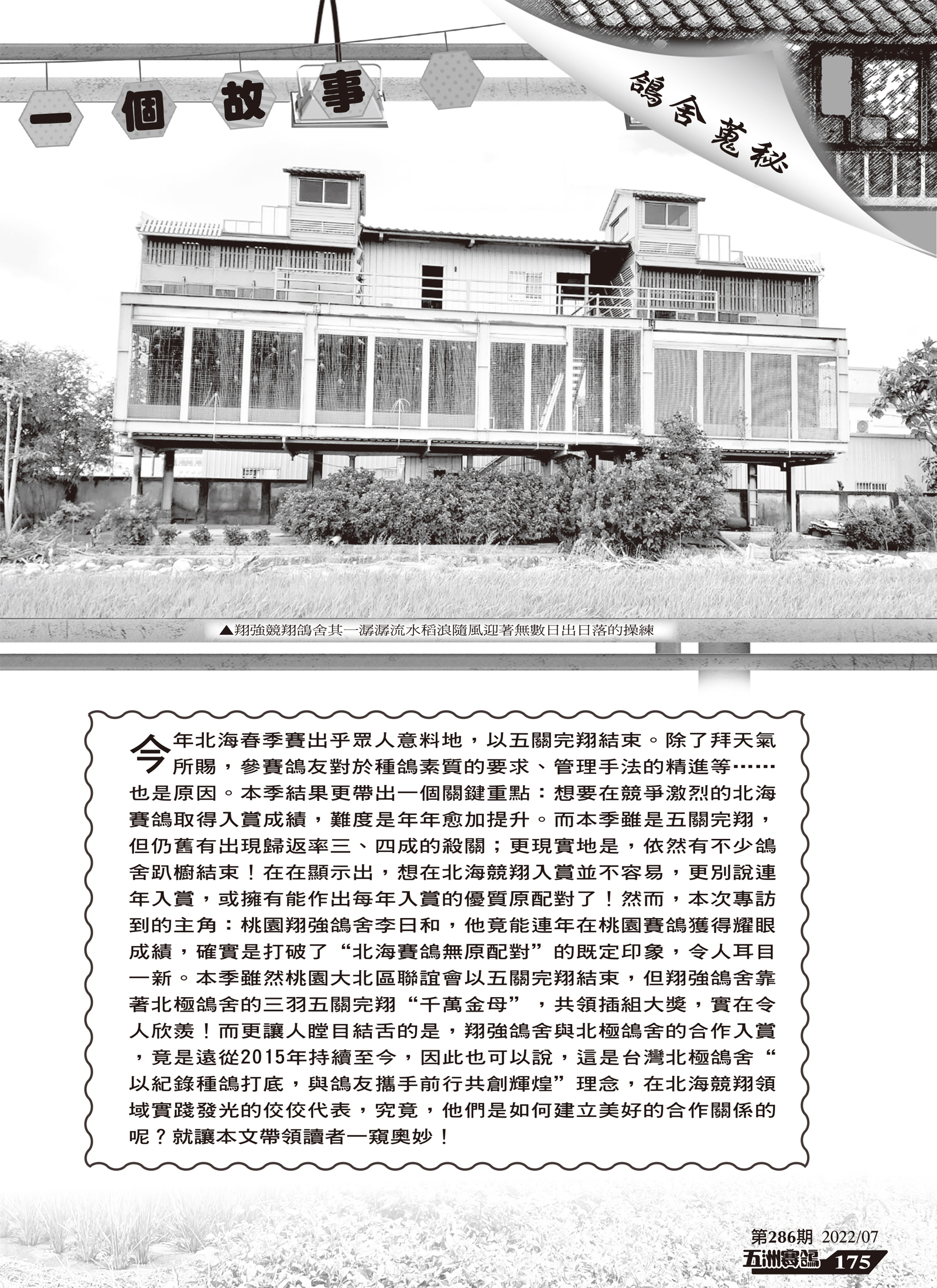 286-2.jpg