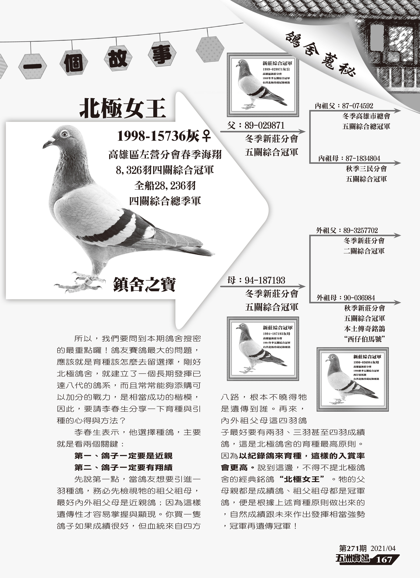 271-10.jpg