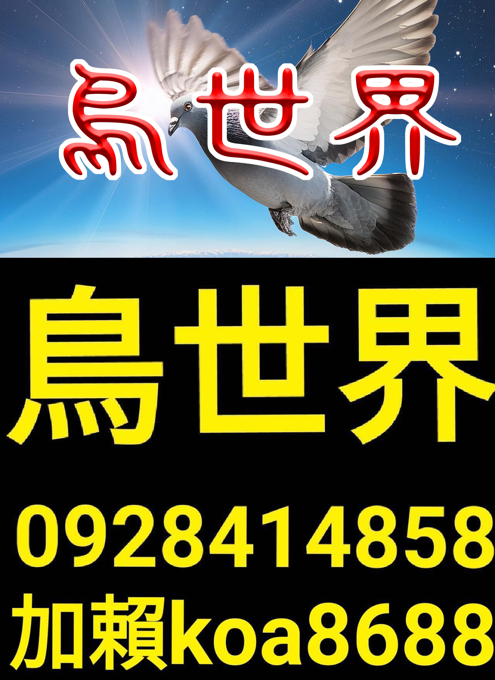 鳥世界-4網站.jpg