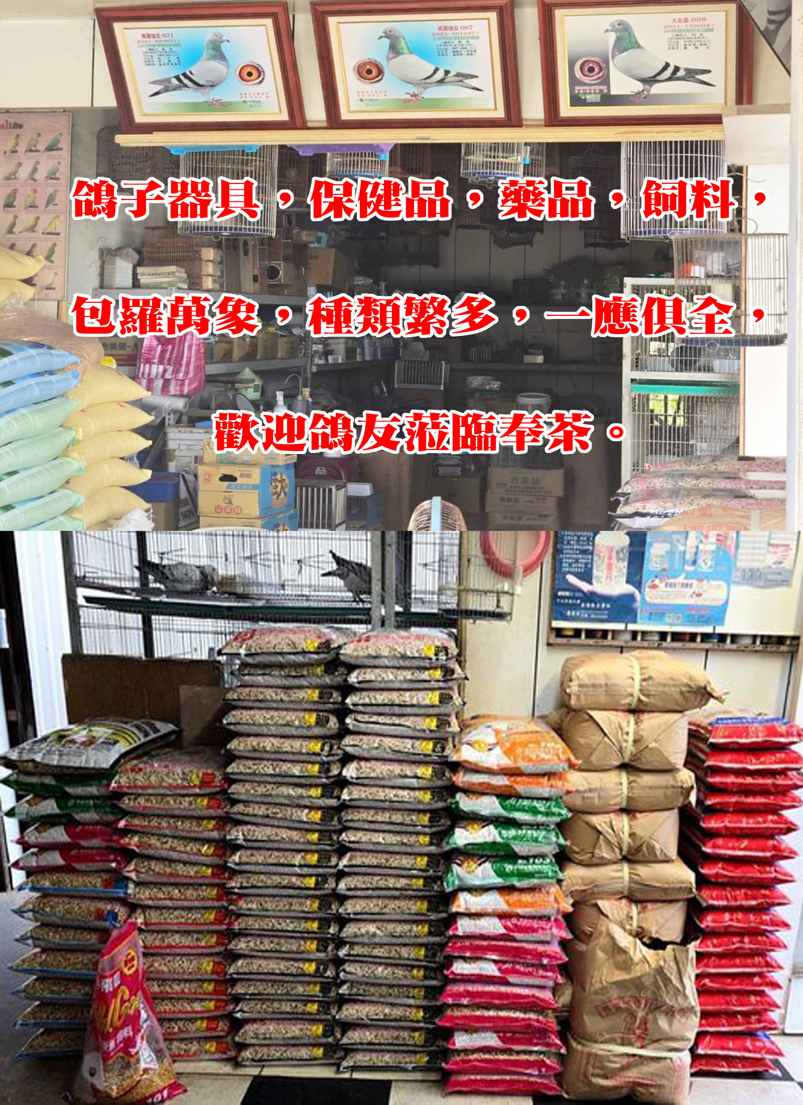 鳥世界-5網站.jpg