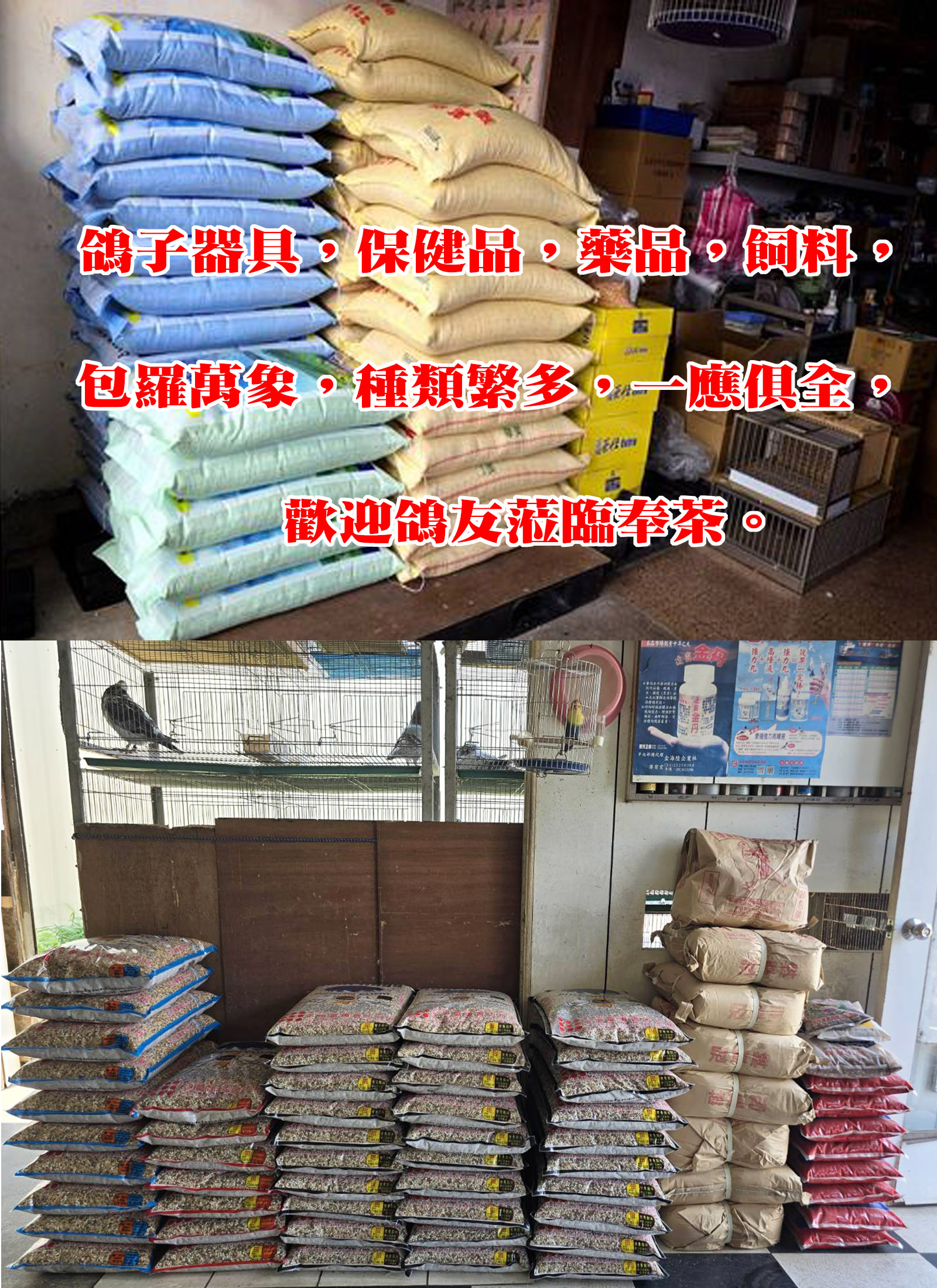鳥世界-6網站.jpg