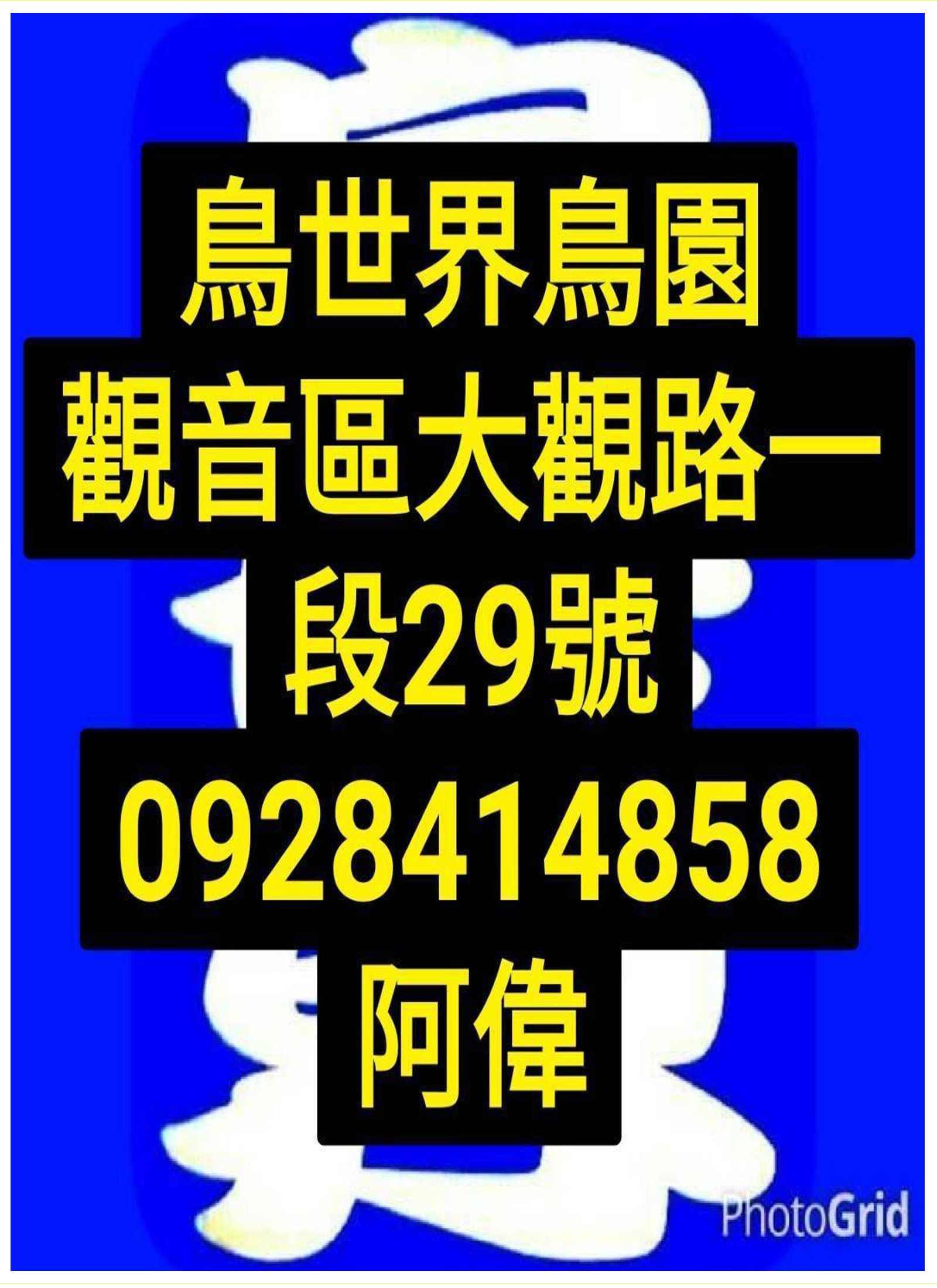 鳥世界-7網站.jpg