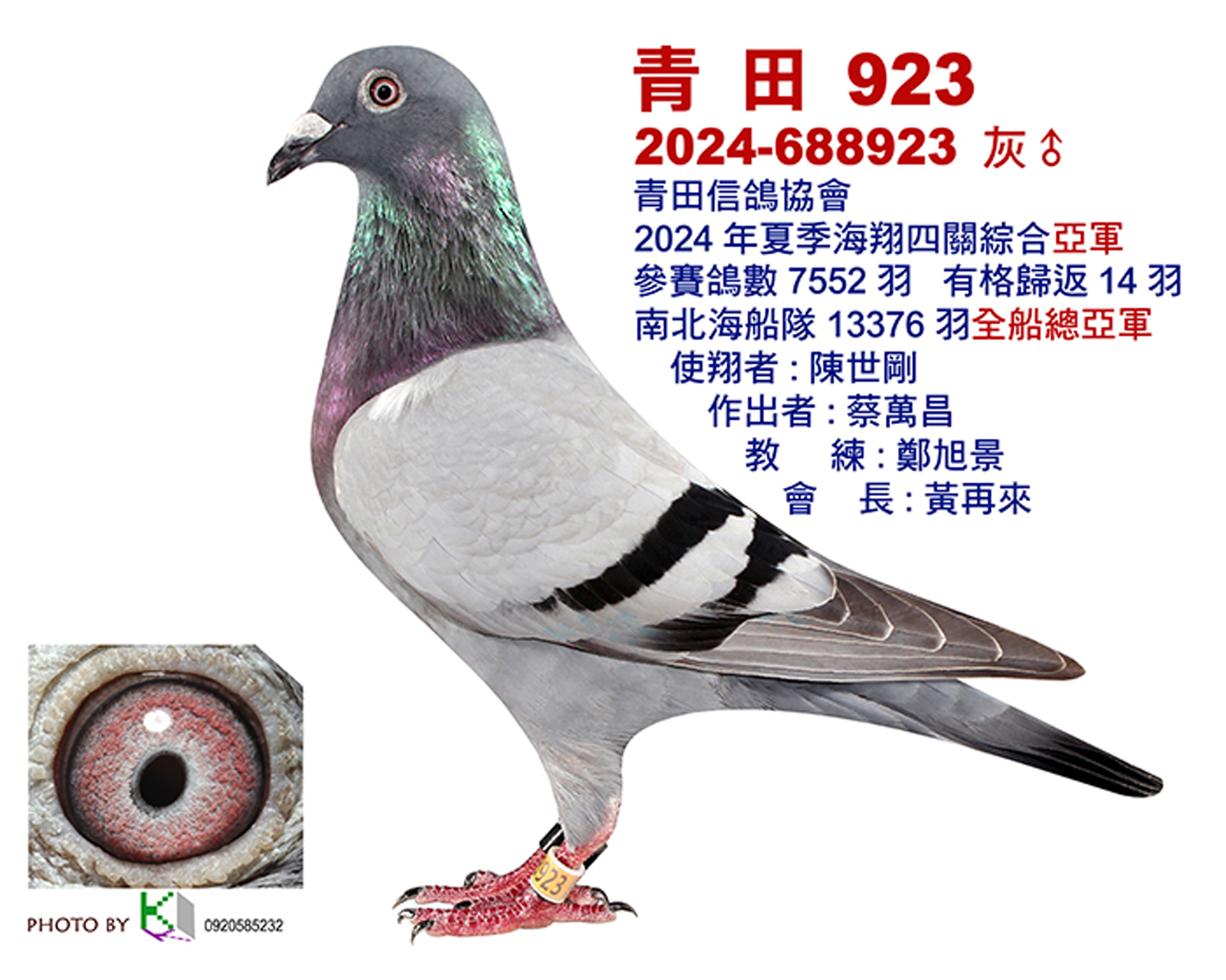 青田2.jpg