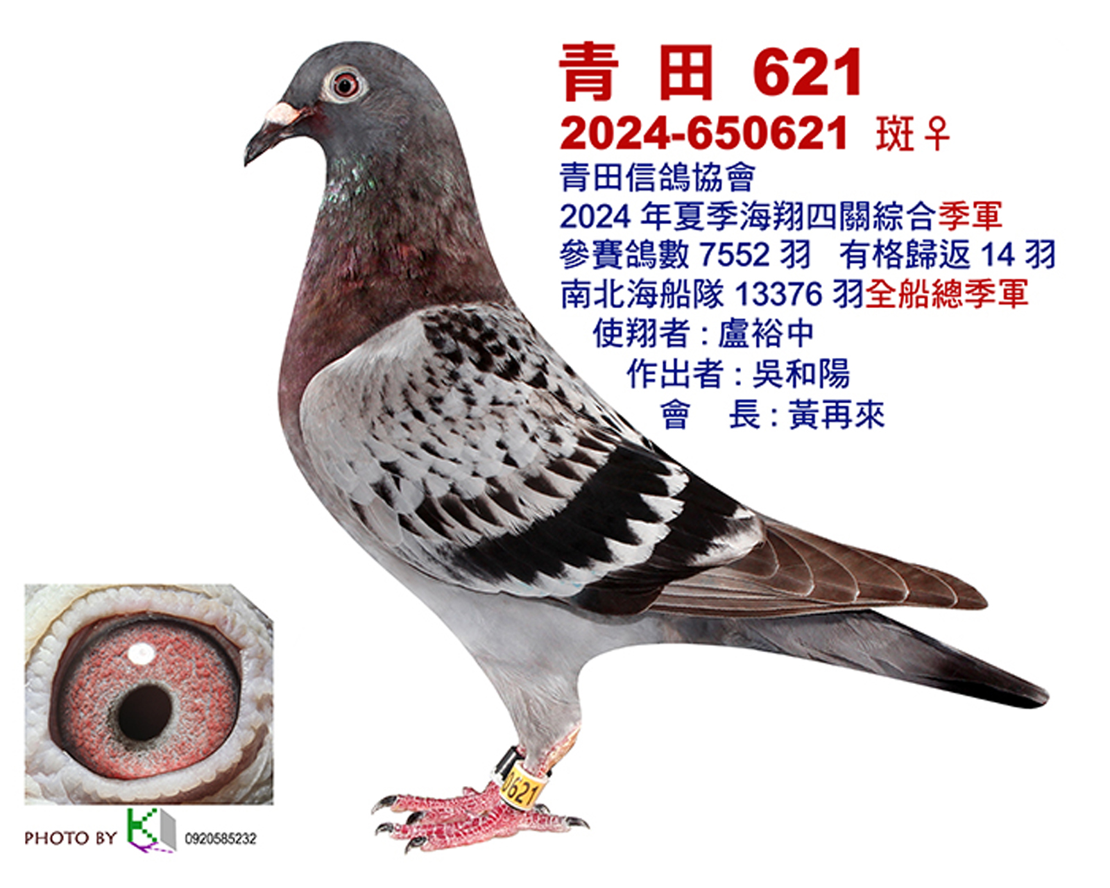 青田3.jpg