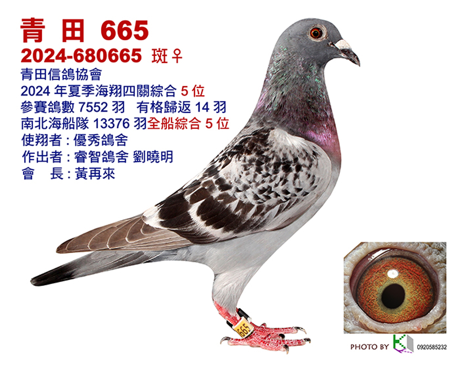 青田5.jpg