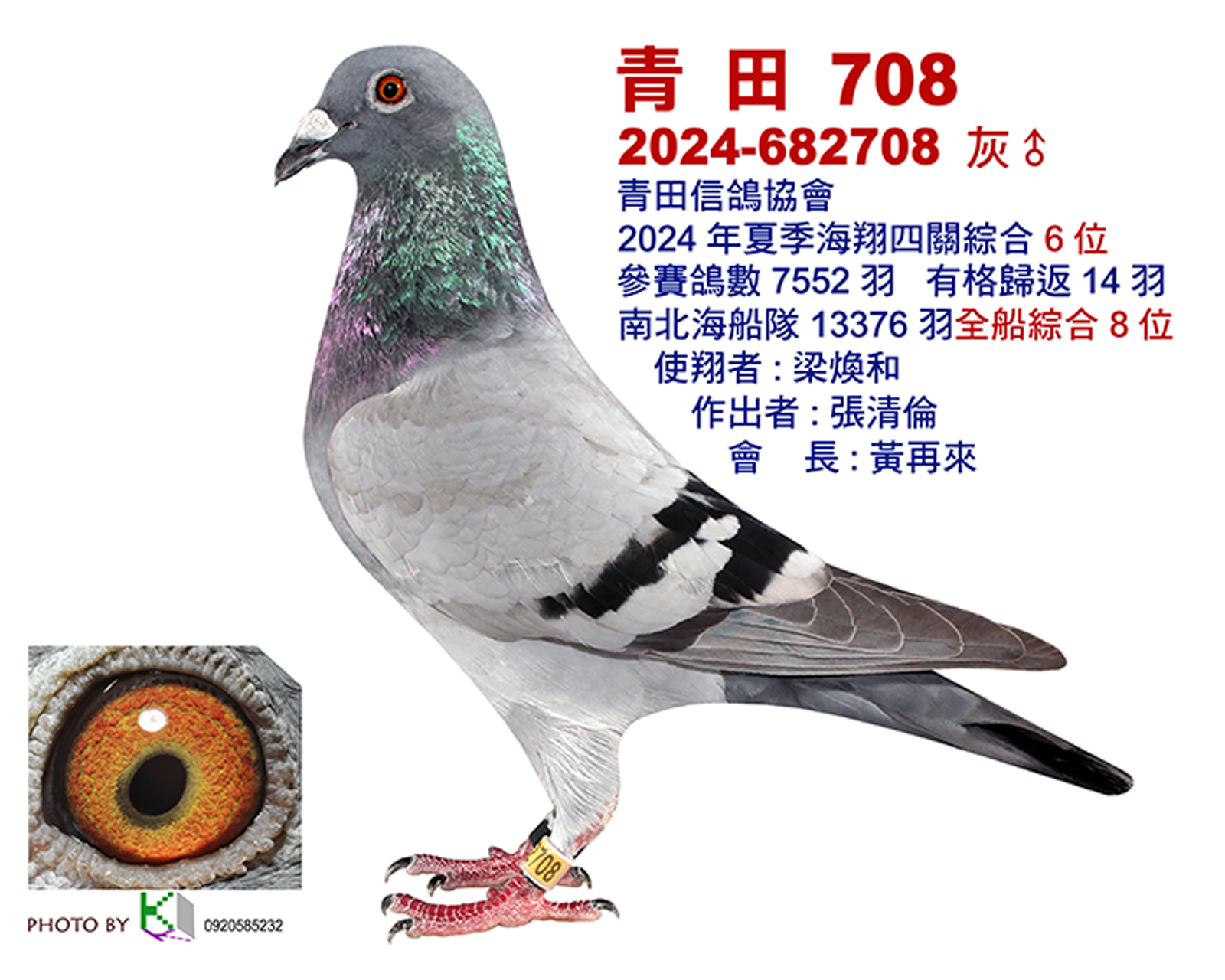 青田6.jpg