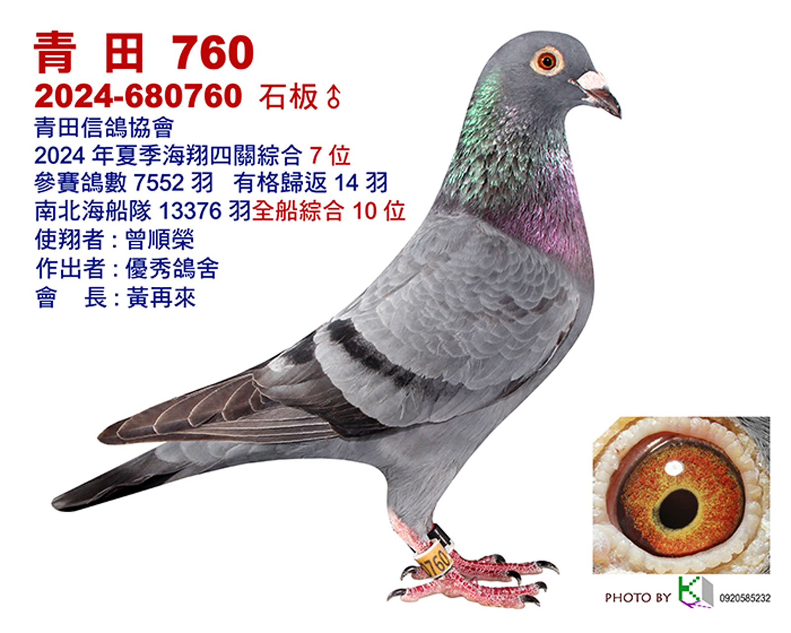 青田7.jpg