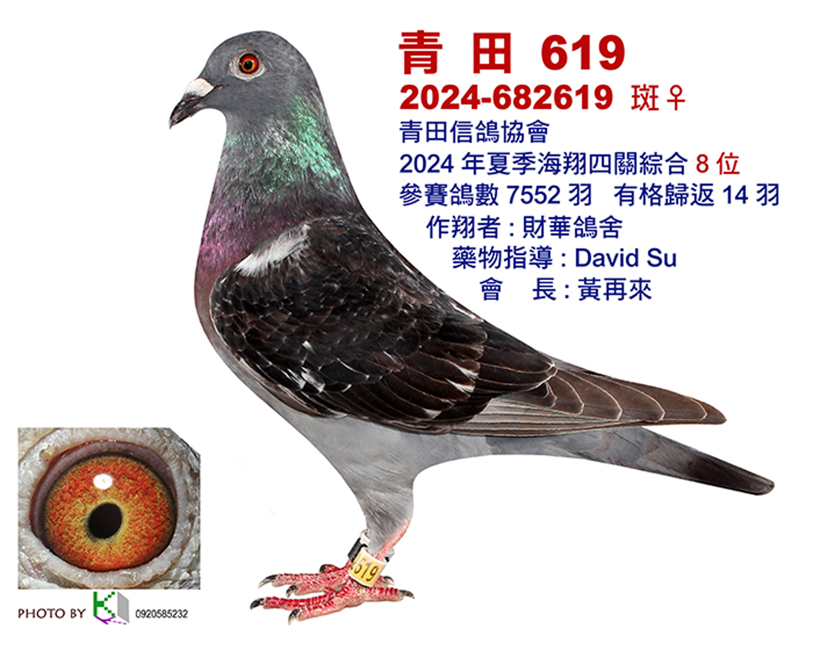 青田8.jpg