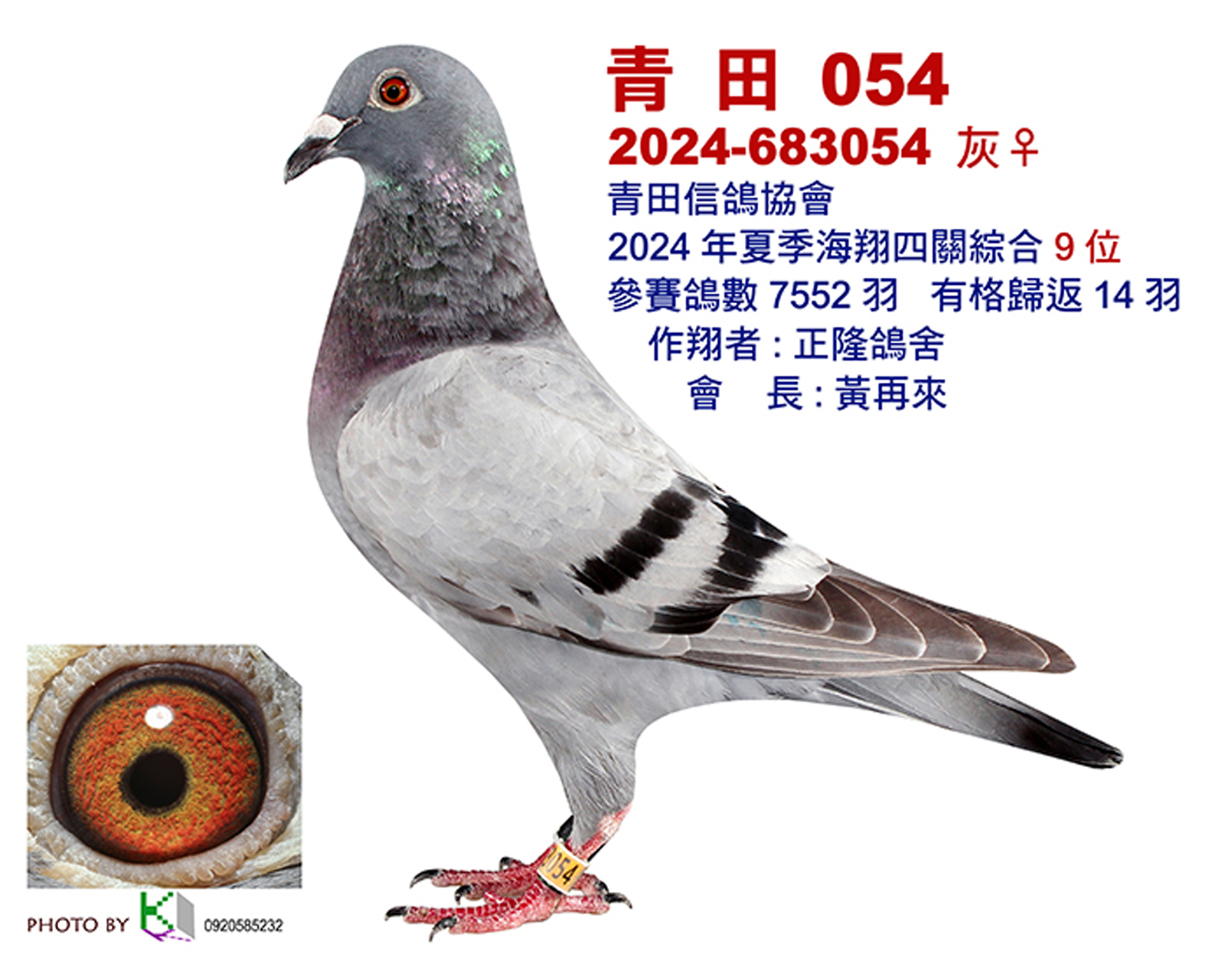 青田9.jpg