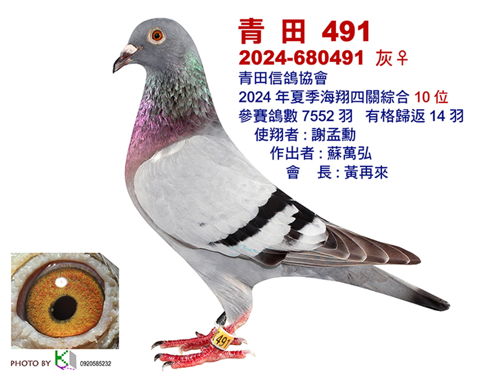 青田10.jpg