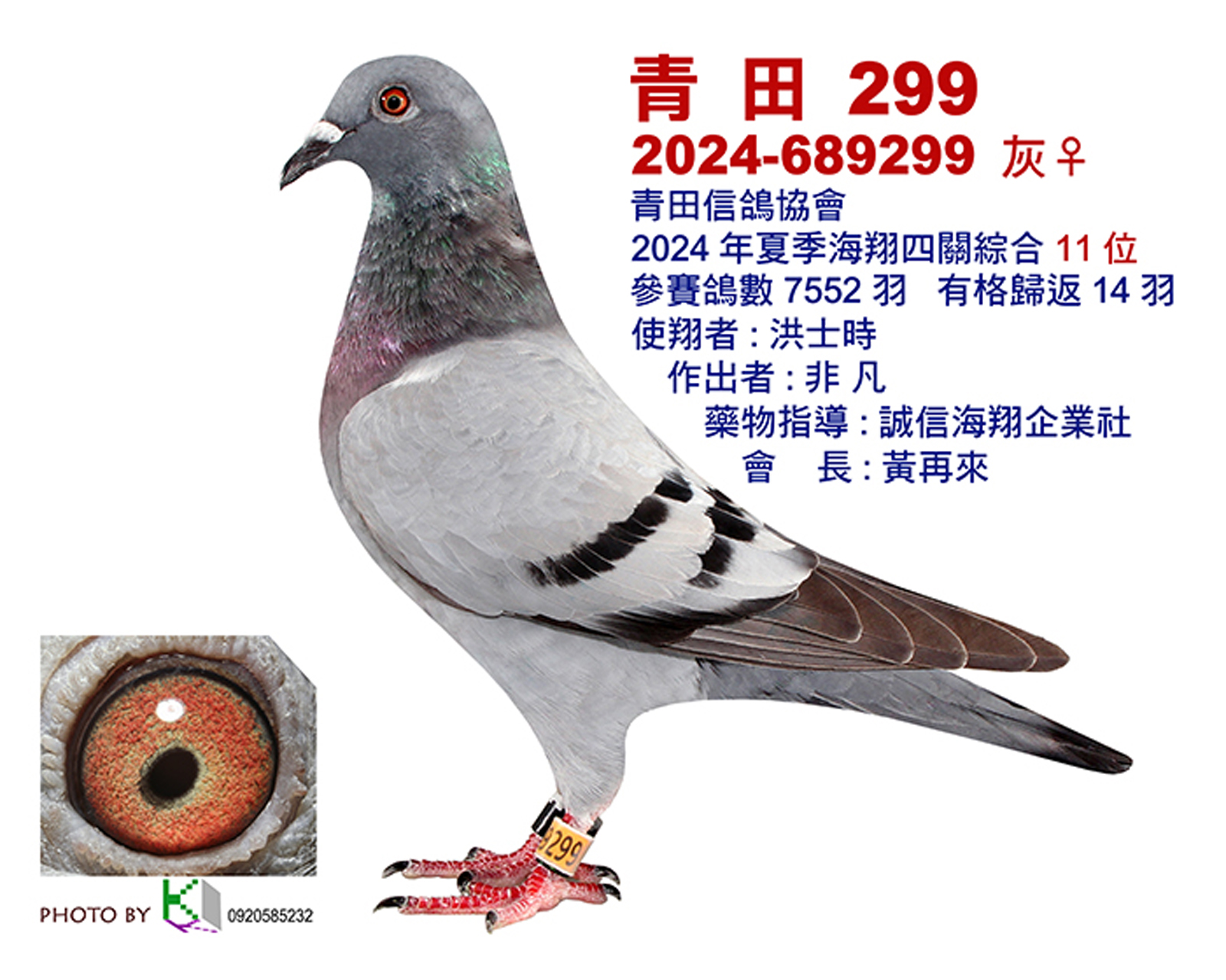 青田11.jpg
