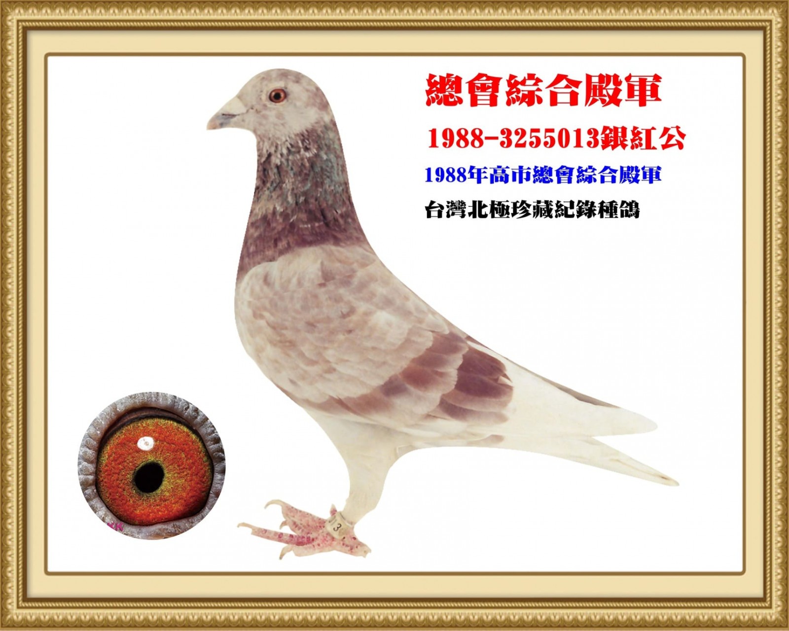 1988-3255013.jpg
