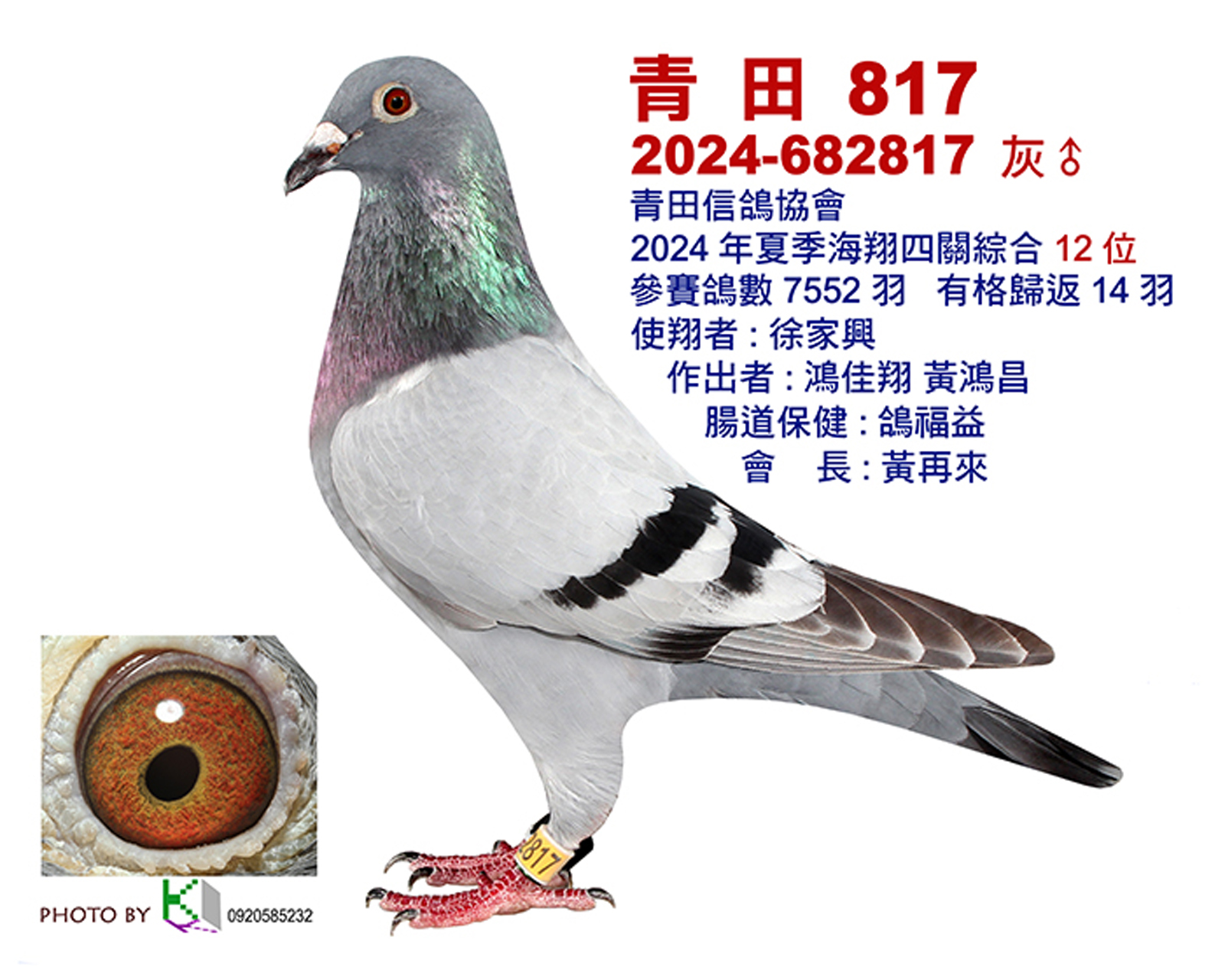 青田12.jpg