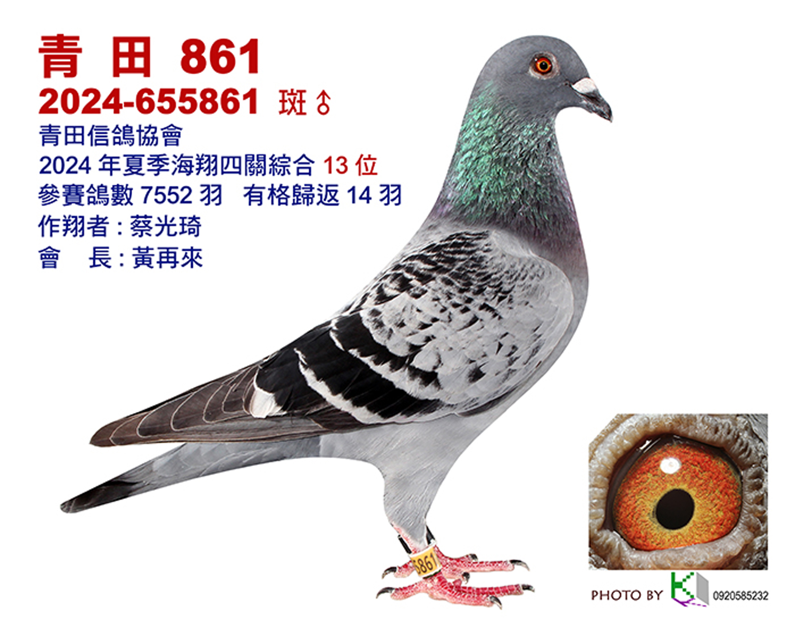 青田13.jpg