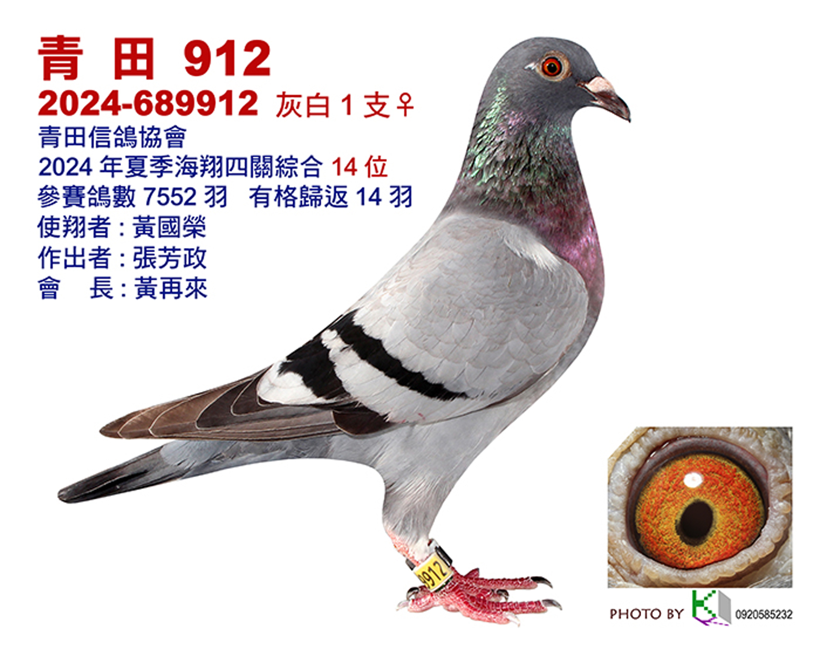 青田14.jpg
