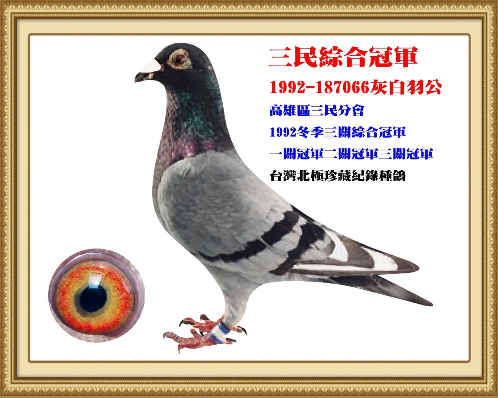 1992-187066.jpg