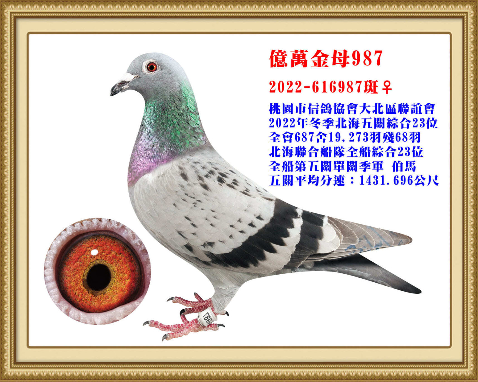 2022-616987腳環版.jpg