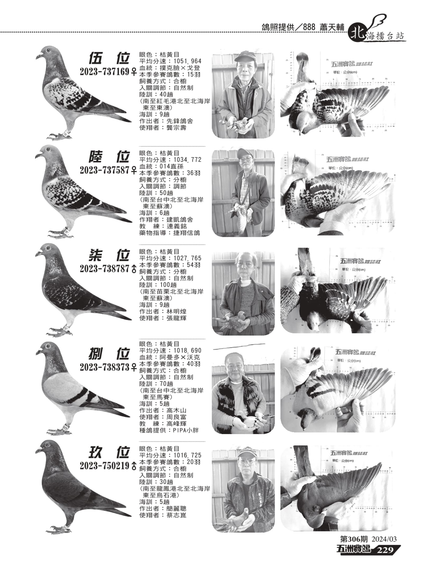 228-230雙北組稿_pages-to-jpg-0002.jpg