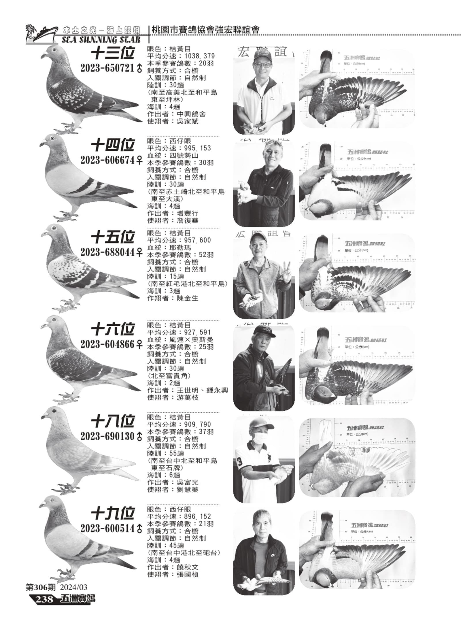 236-238桃園強宏ld5-轉_page-0003.jpg