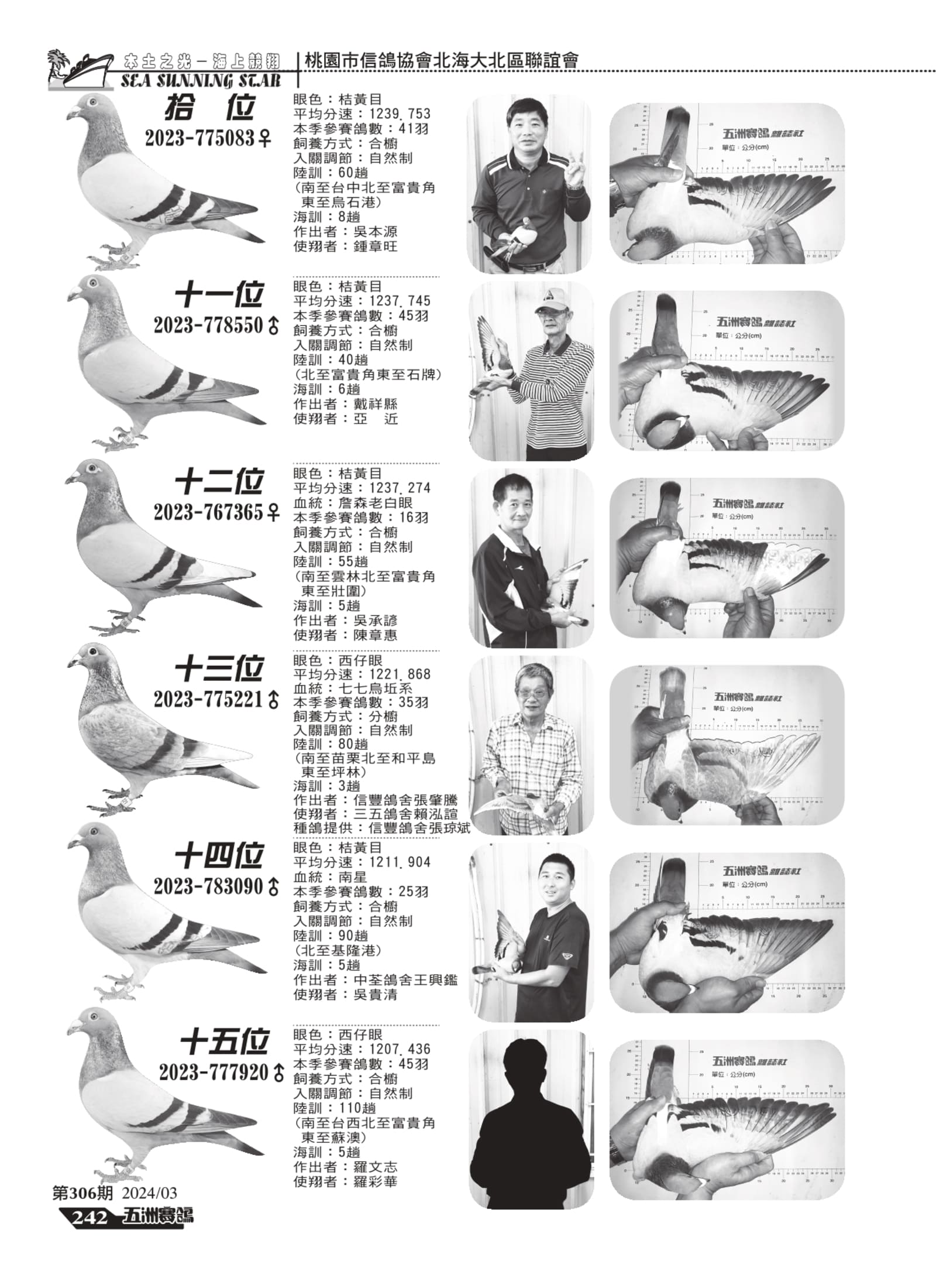 240-242大北區ld7-轉_page-0003.jpg