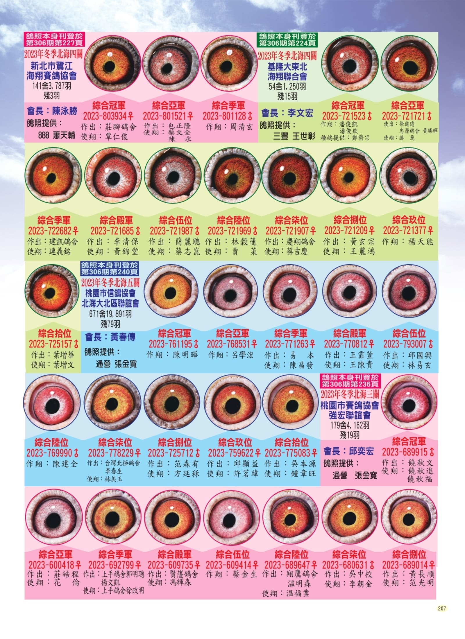 207鴿眼賞析p2組稿_pages-to-jpg-0001.jpg