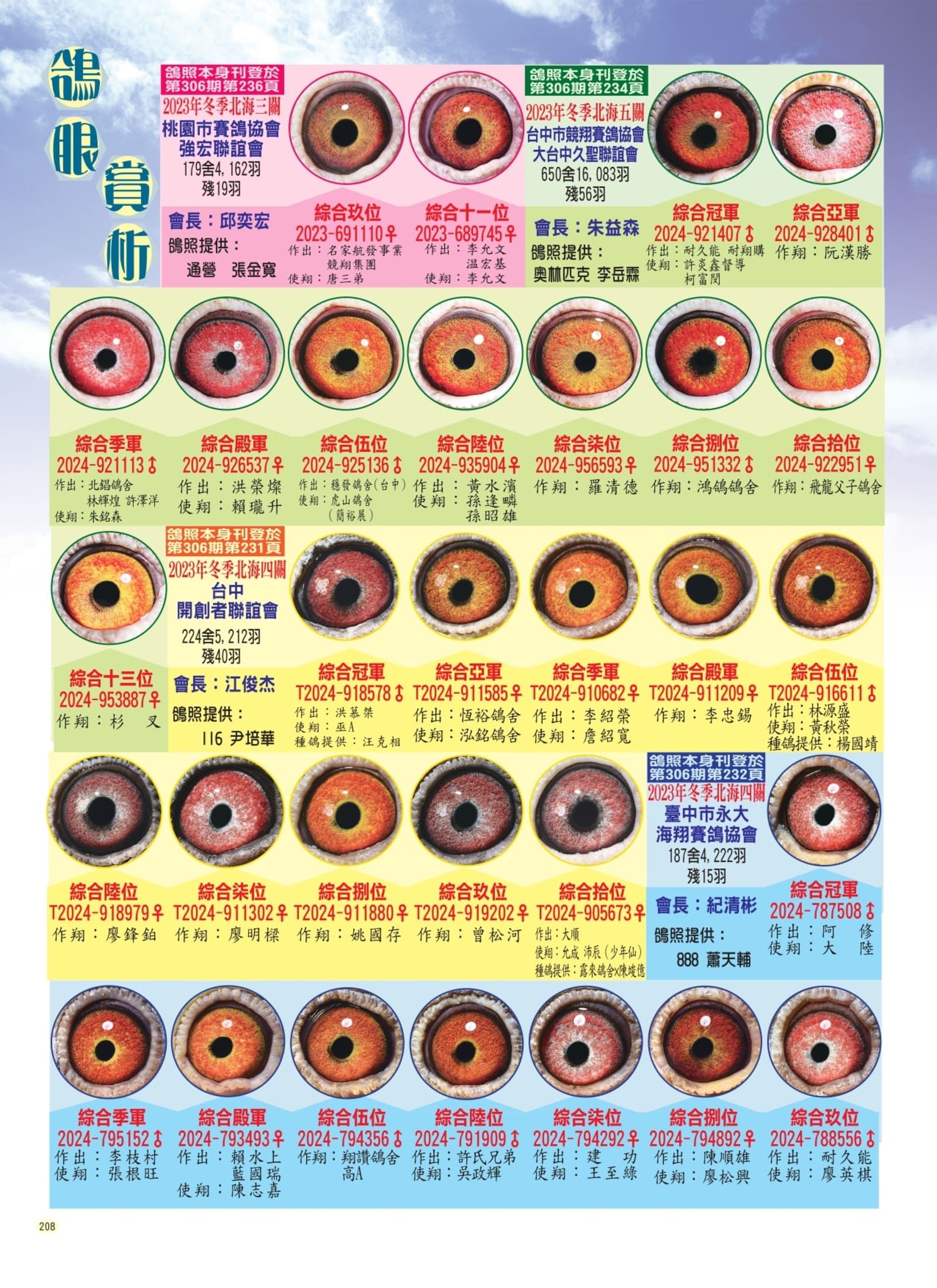 208鴿眼賞析p3組稿_pages-to-jpg-0001.jpg