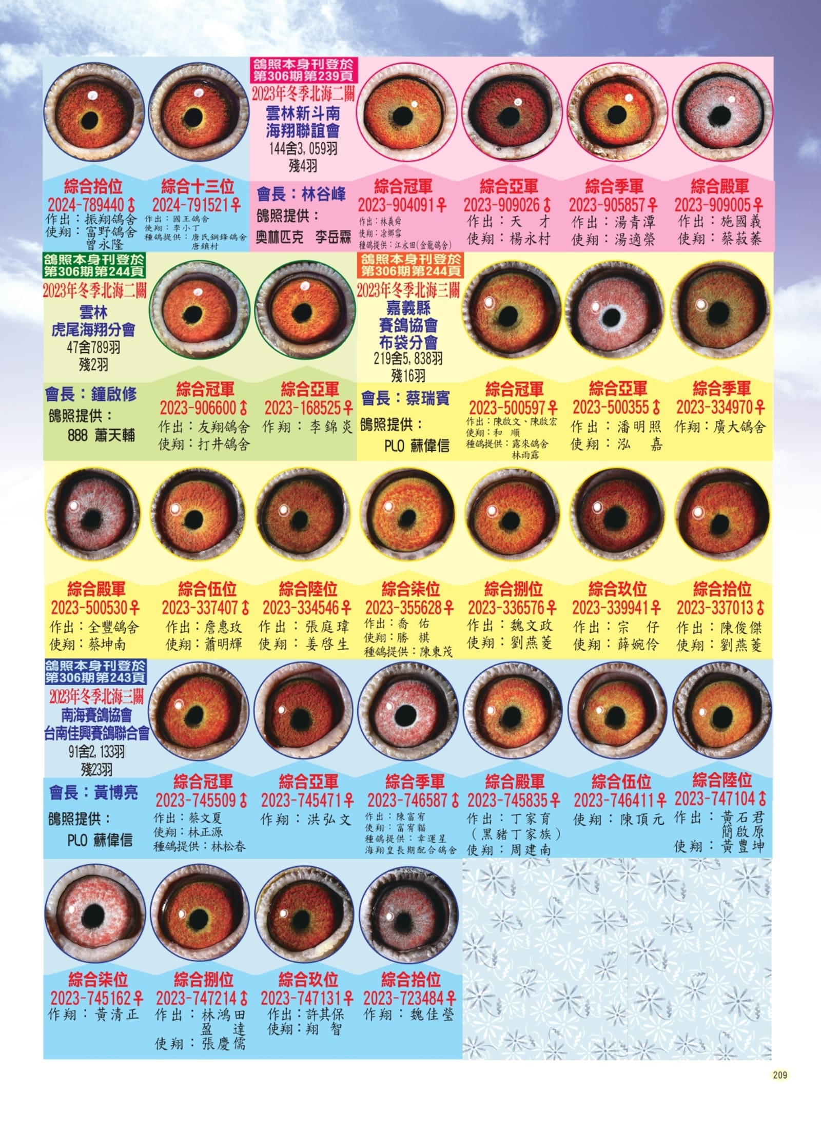 209鴿眼賞析p4組稿_pages-to-jpg-0001.jpg