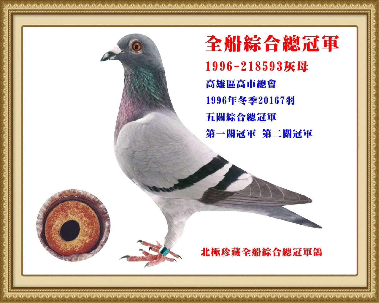 1996-218593.jpg
