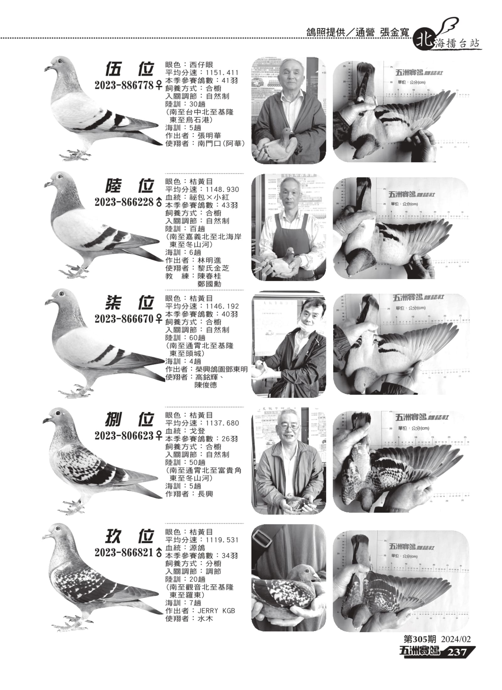 236-238擂台-大板市聯誼會_page-0002.jpg