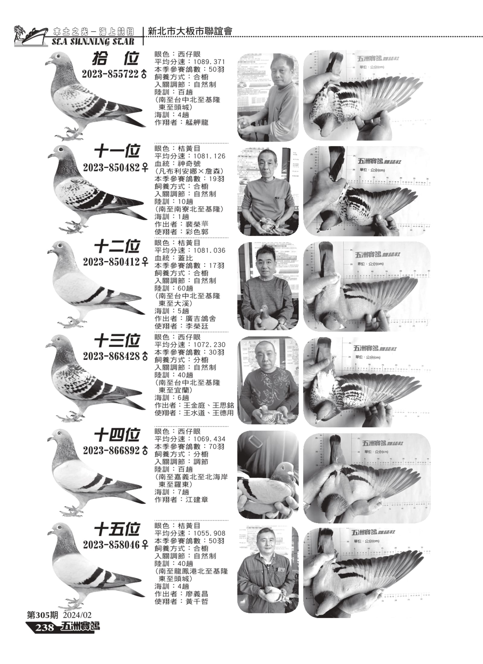 236-238擂台-大板市聯誼會_page-0003.jpg