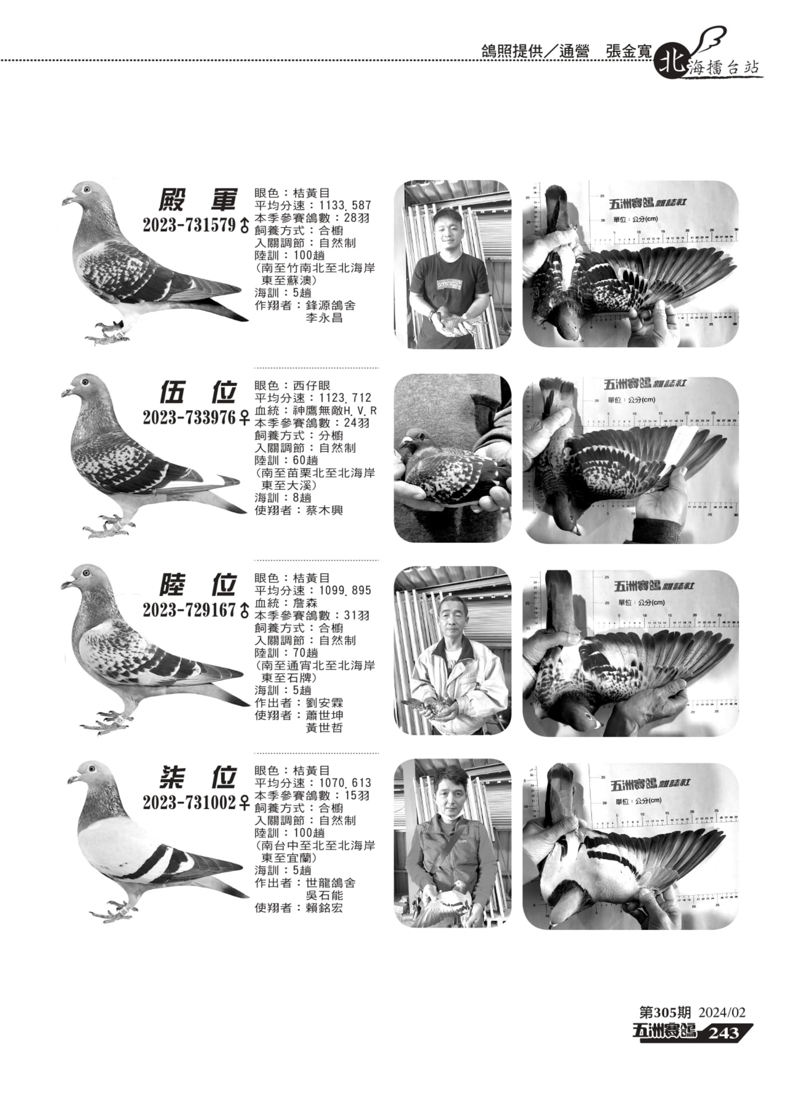 242-244新北市擂台組板_page-0002.jpg