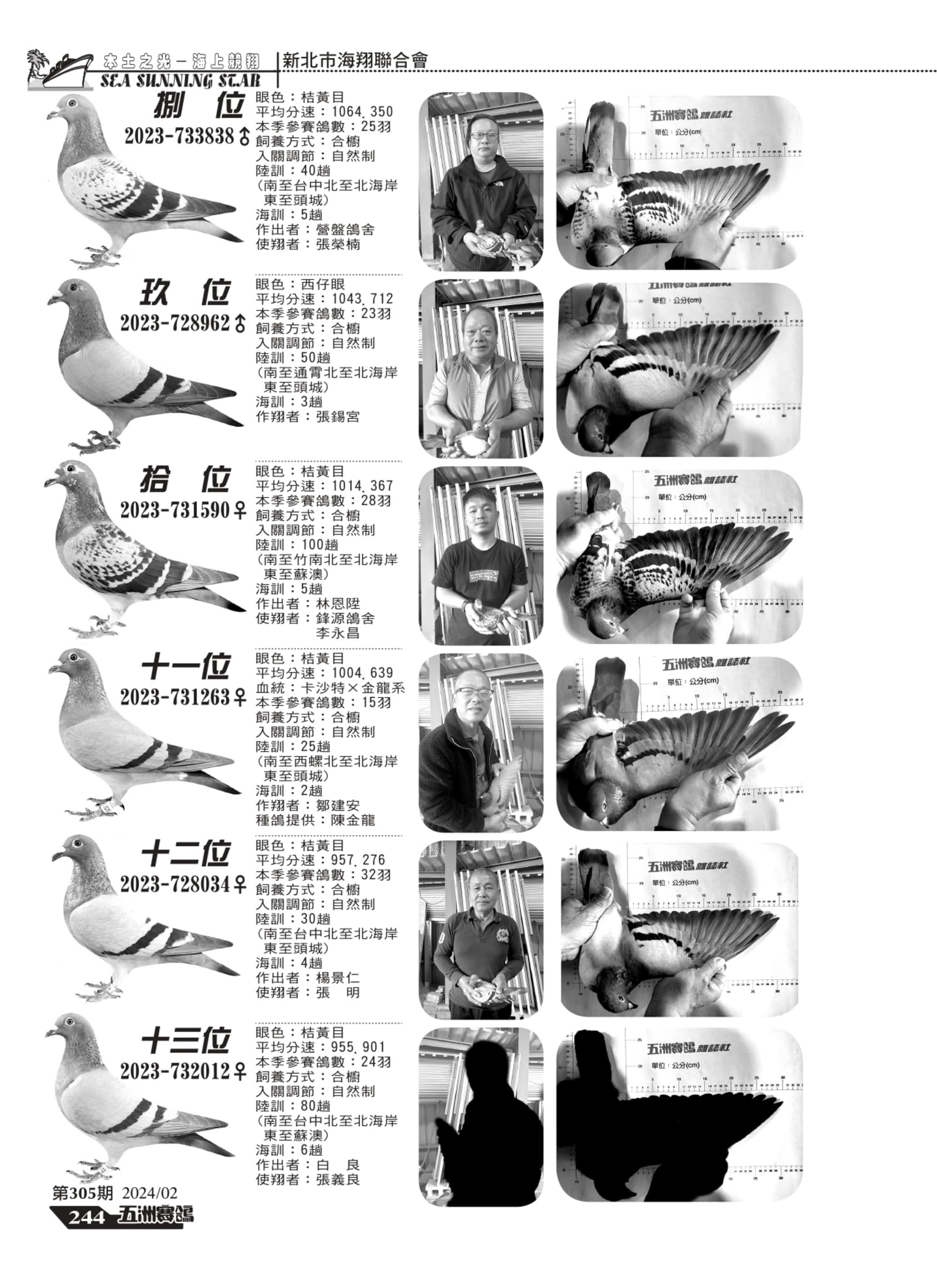 242-244新北市擂台組板_page-0003.jpg