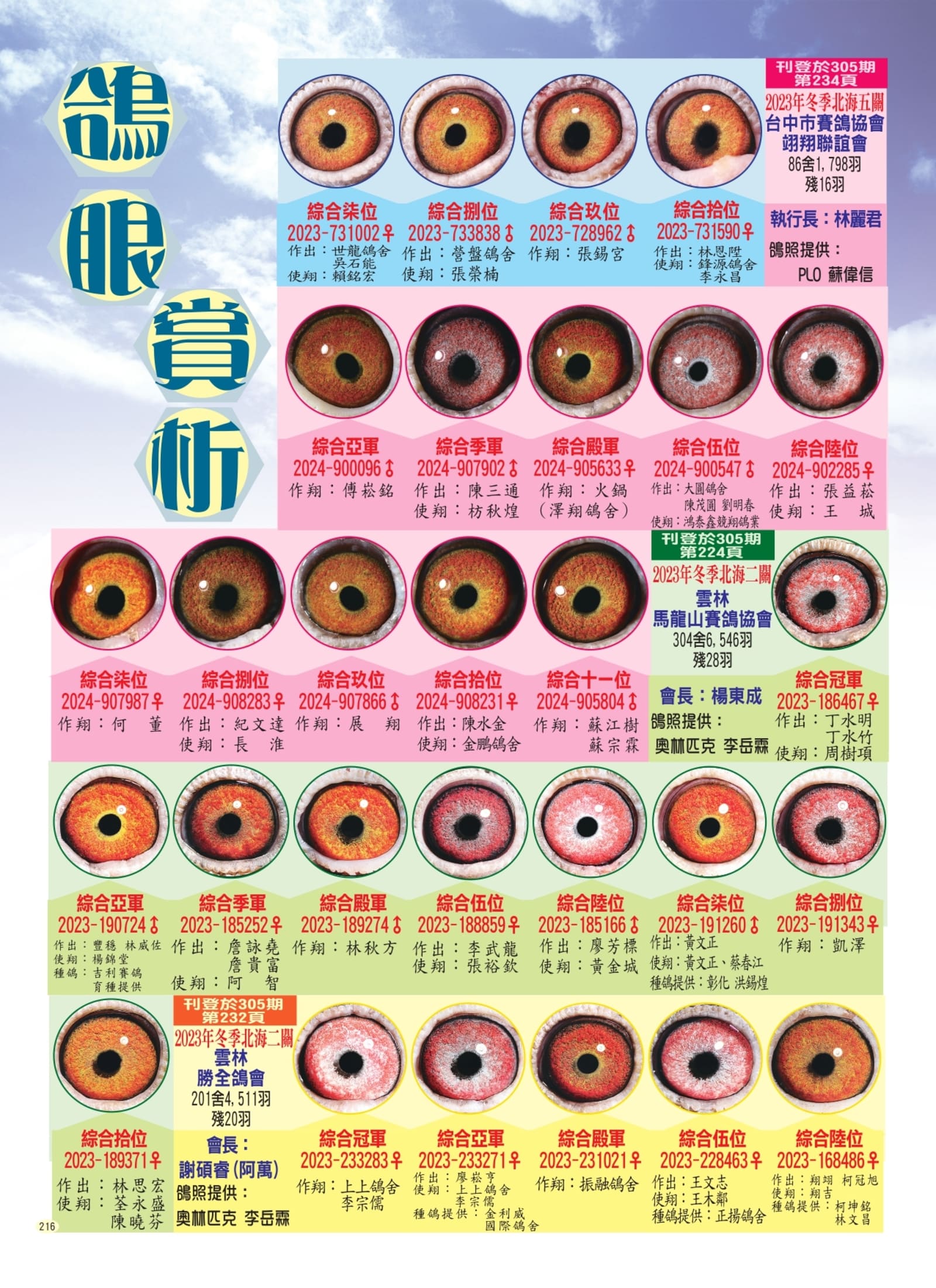 216鴿眼賞析P3組稿_page-0001.jpg