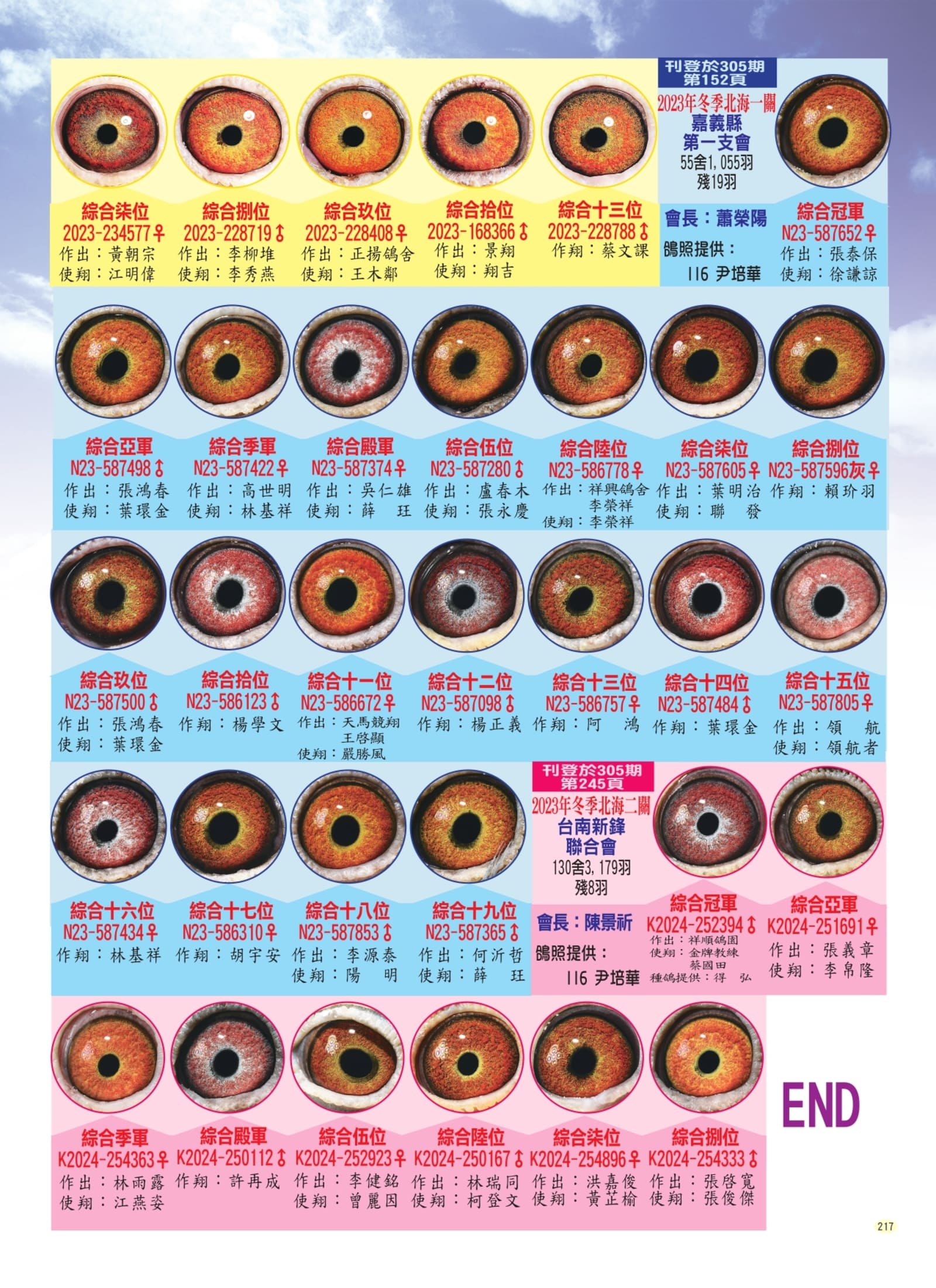 217鴿眼賞析P4組稿_page-0001.jpg