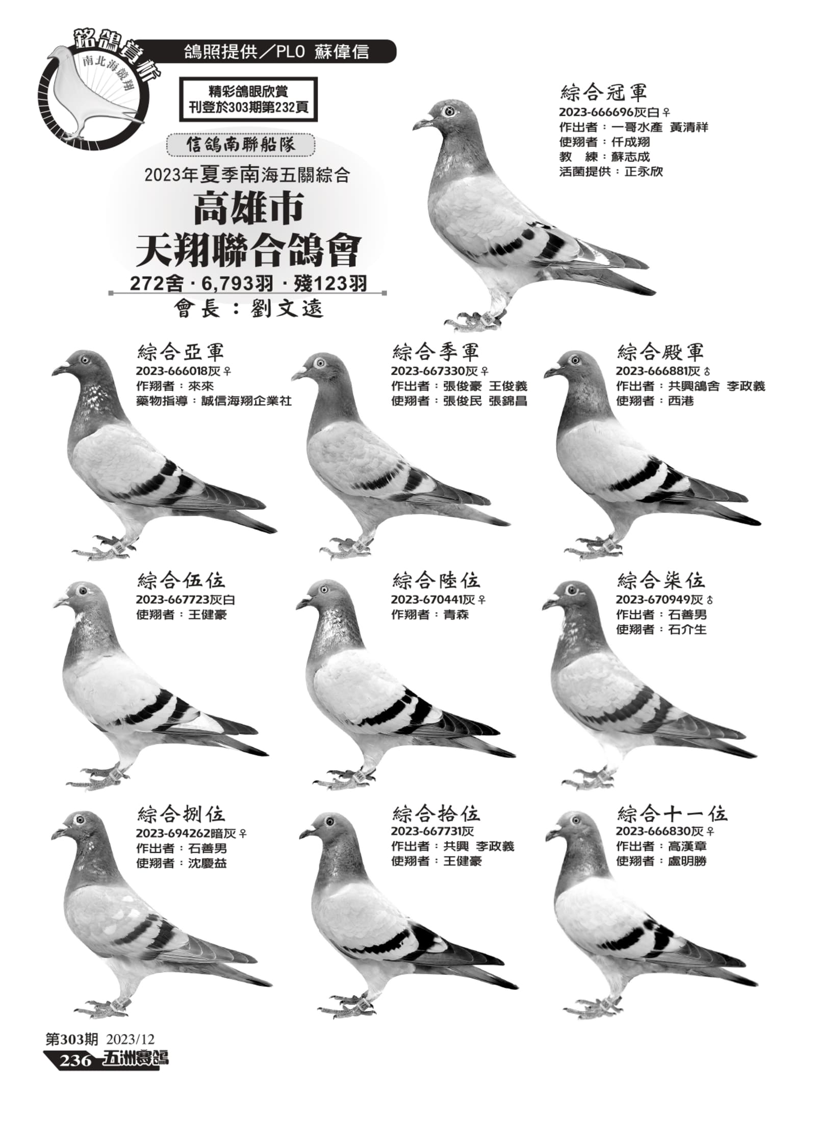 236銘鴿賞析-高雄天翔_page-0001.jpg