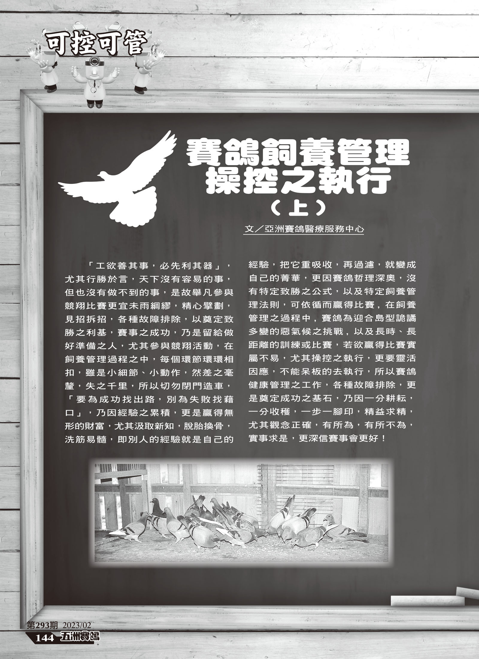 賽鴿飼養管理操控之執行-1.jpg