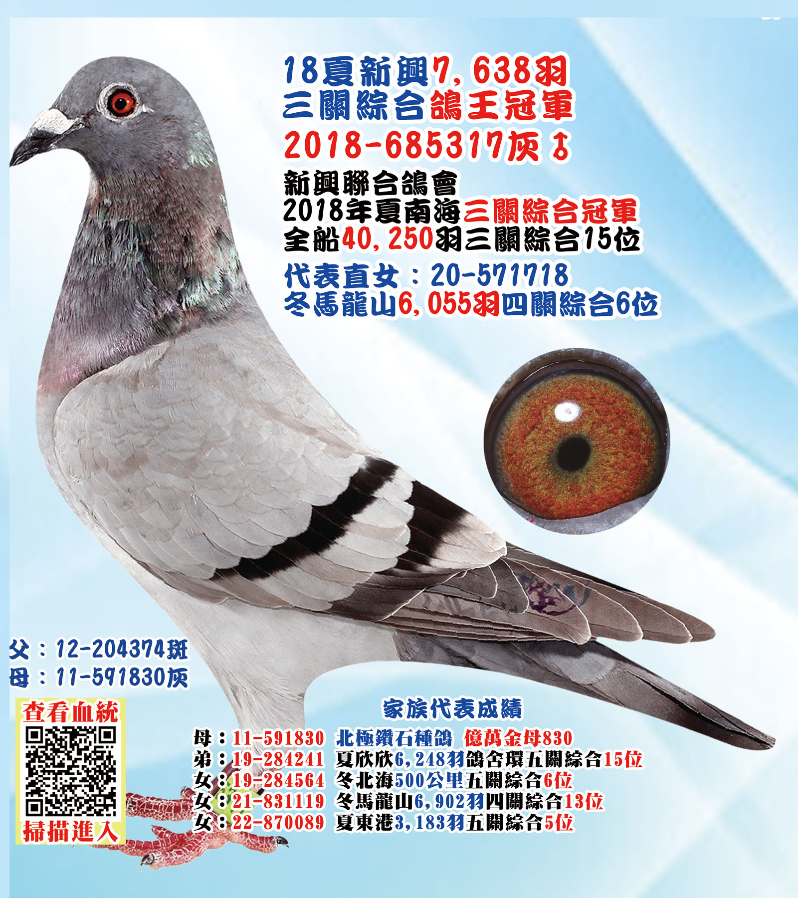 2018-685317.jpg
